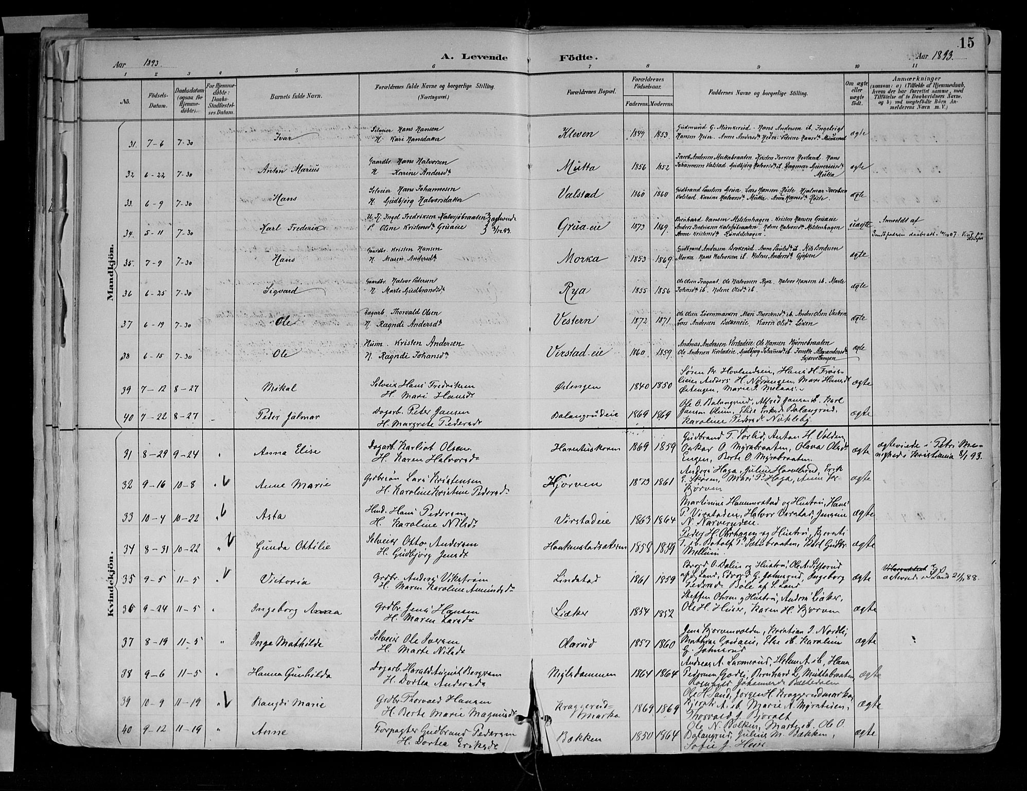 Jevnaker prestekontor, AV/SAH-PREST-116/H/Ha/Haa/L0010: Parish register (official) no. 10, 1891-1906, p. 15