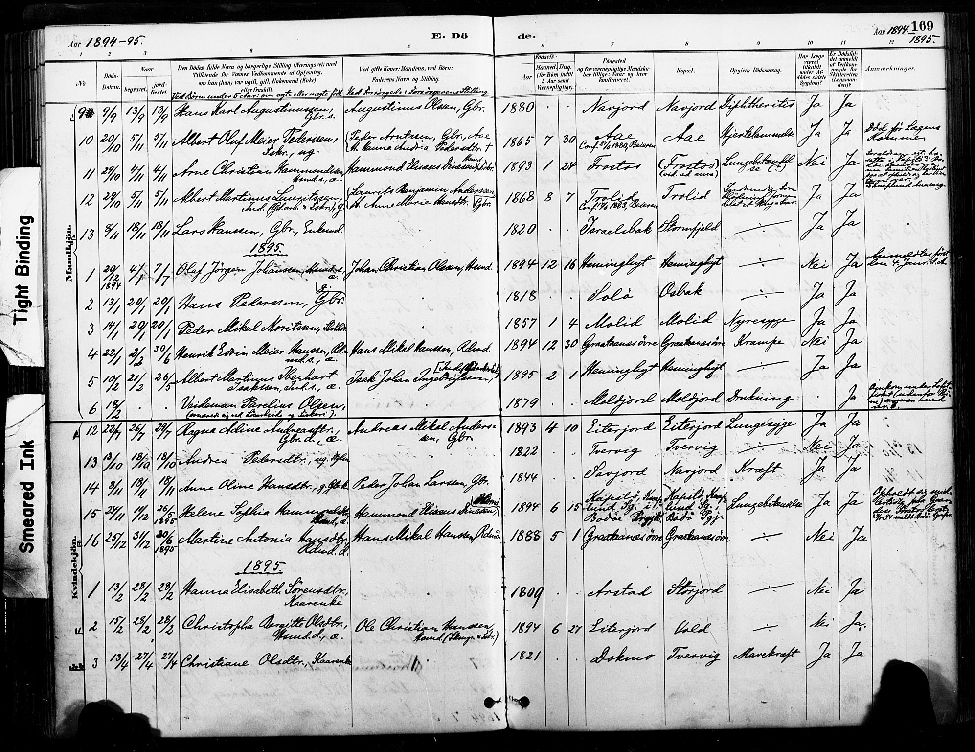 Ministerialprotokoller, klokkerbøker og fødselsregistre - Nordland, AV/SAT-A-1459/846/L0646: Parish register (official) no. 846A04, 1887-1901, p. 169