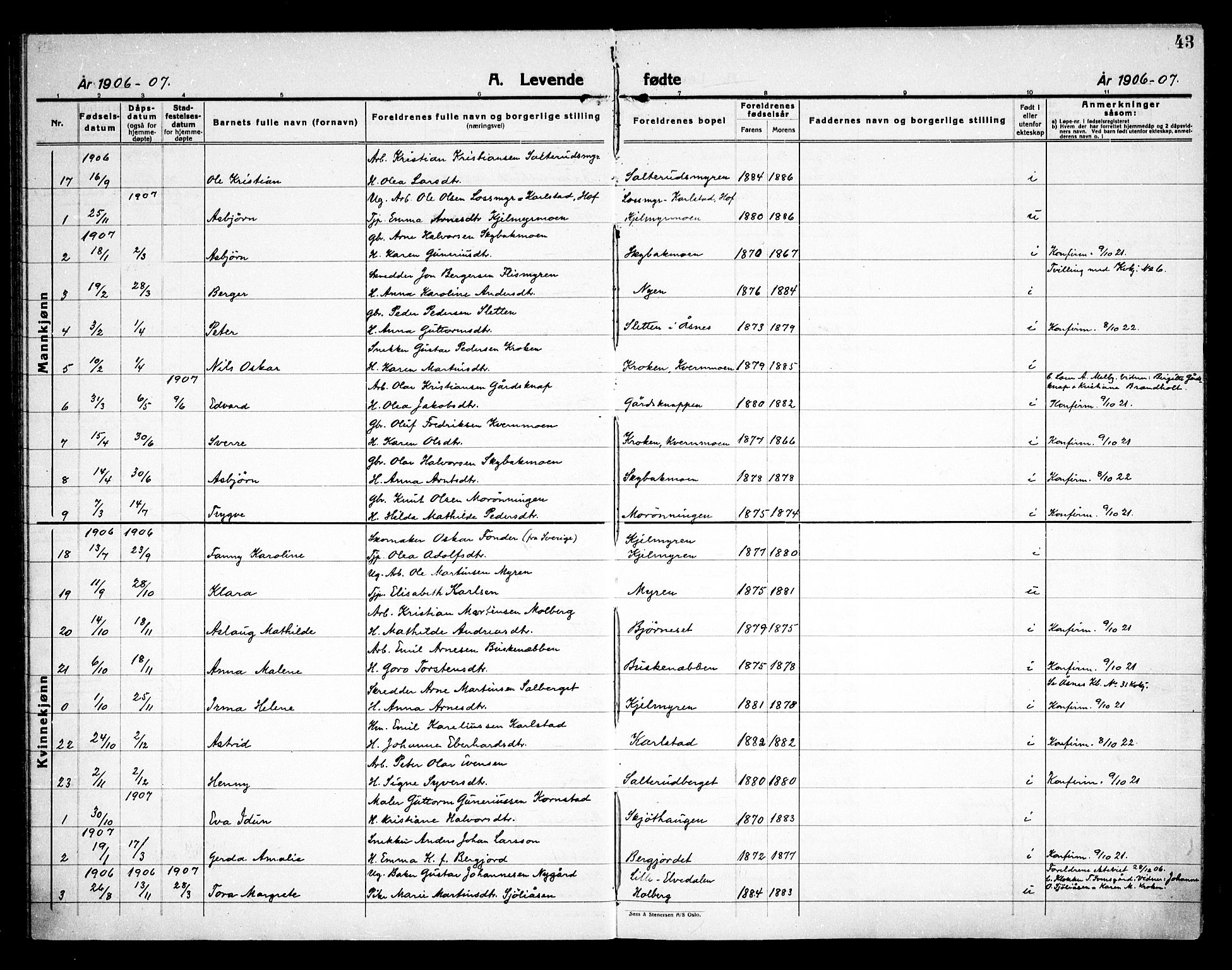 Åsnes prestekontor, SAH/PREST-042/H/Ha/Haa/L0000D: Parish register (official) no. 0B, 1890-1929, p. 43