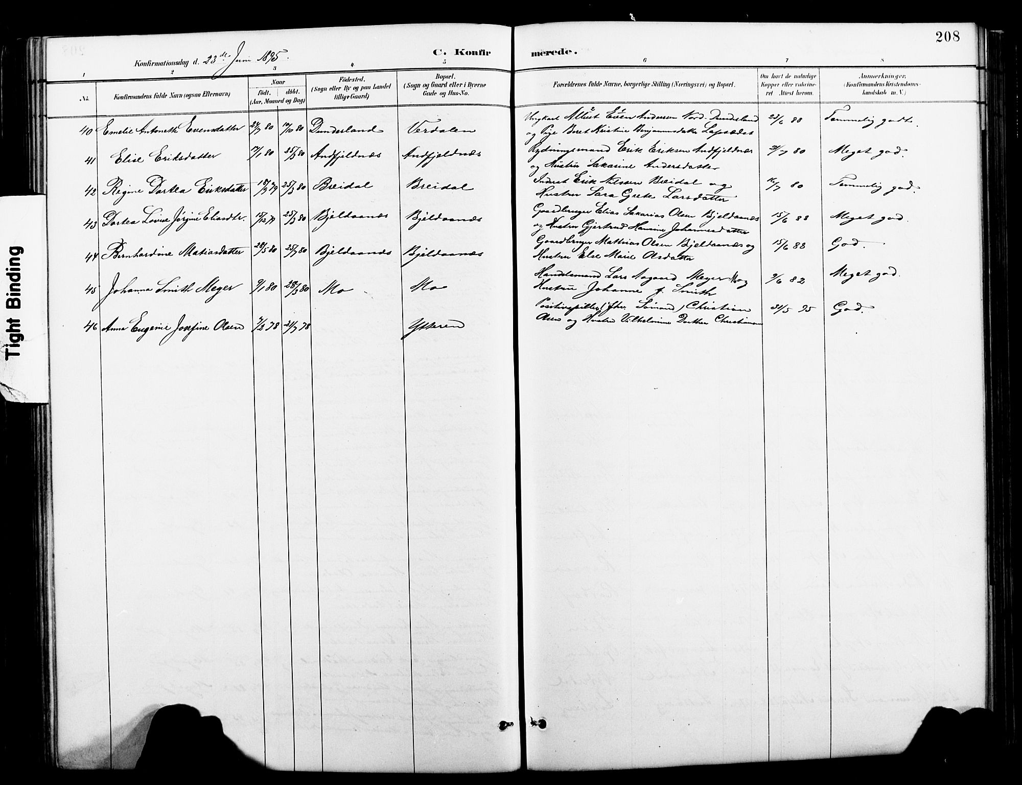 Ministerialprotokoller, klokkerbøker og fødselsregistre - Nordland, AV/SAT-A-1459/827/L0421: Parish register (copy) no. 827C10, 1887-1906, p. 208