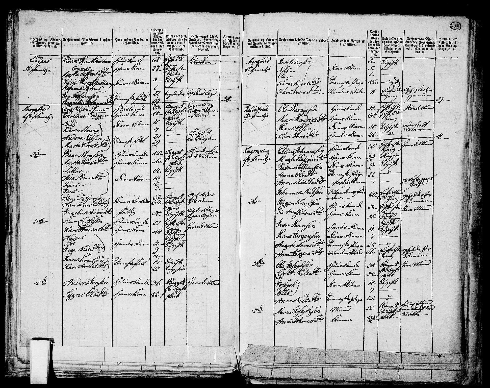 RA, 1801 census for 1263P Lindås, 1801, p. 607b-608a