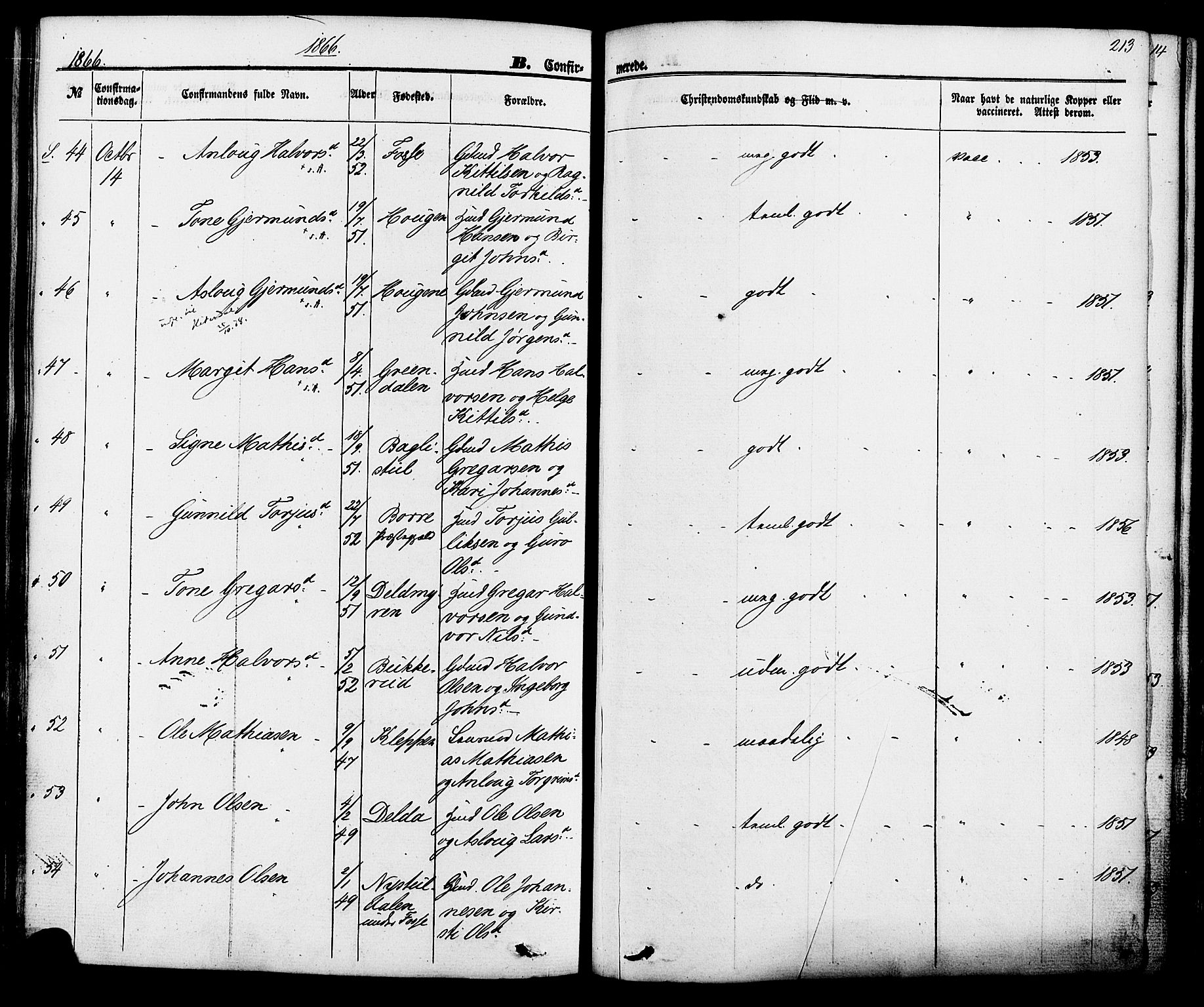 Hjartdal kirkebøker, AV/SAKO-A-270/F/Fa/L0009: Parish register (official) no. I 9, 1860-1879, p. 213