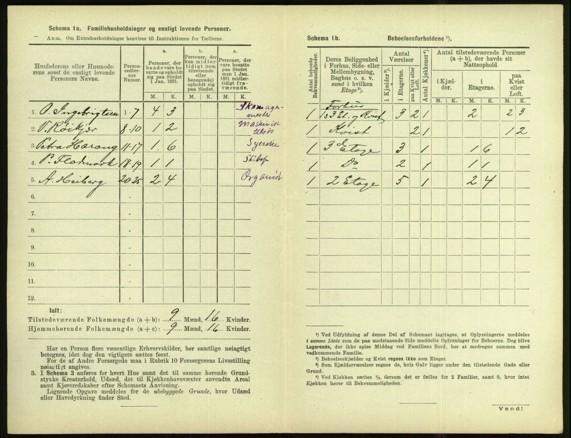 RA, 1891 census for 1501 Ålesund, 1891, p. 917