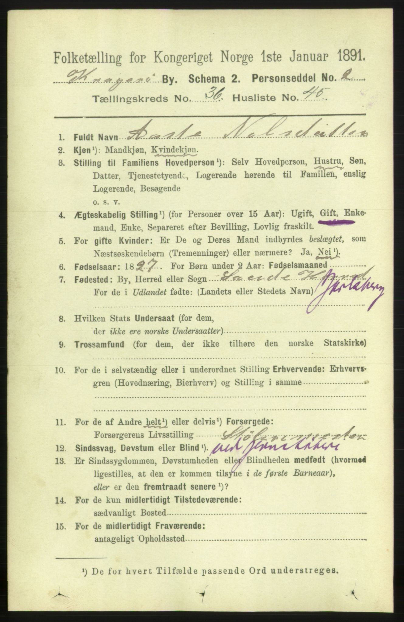 RA, 1891 census for 0801 Kragerø, 1891, p. 6740