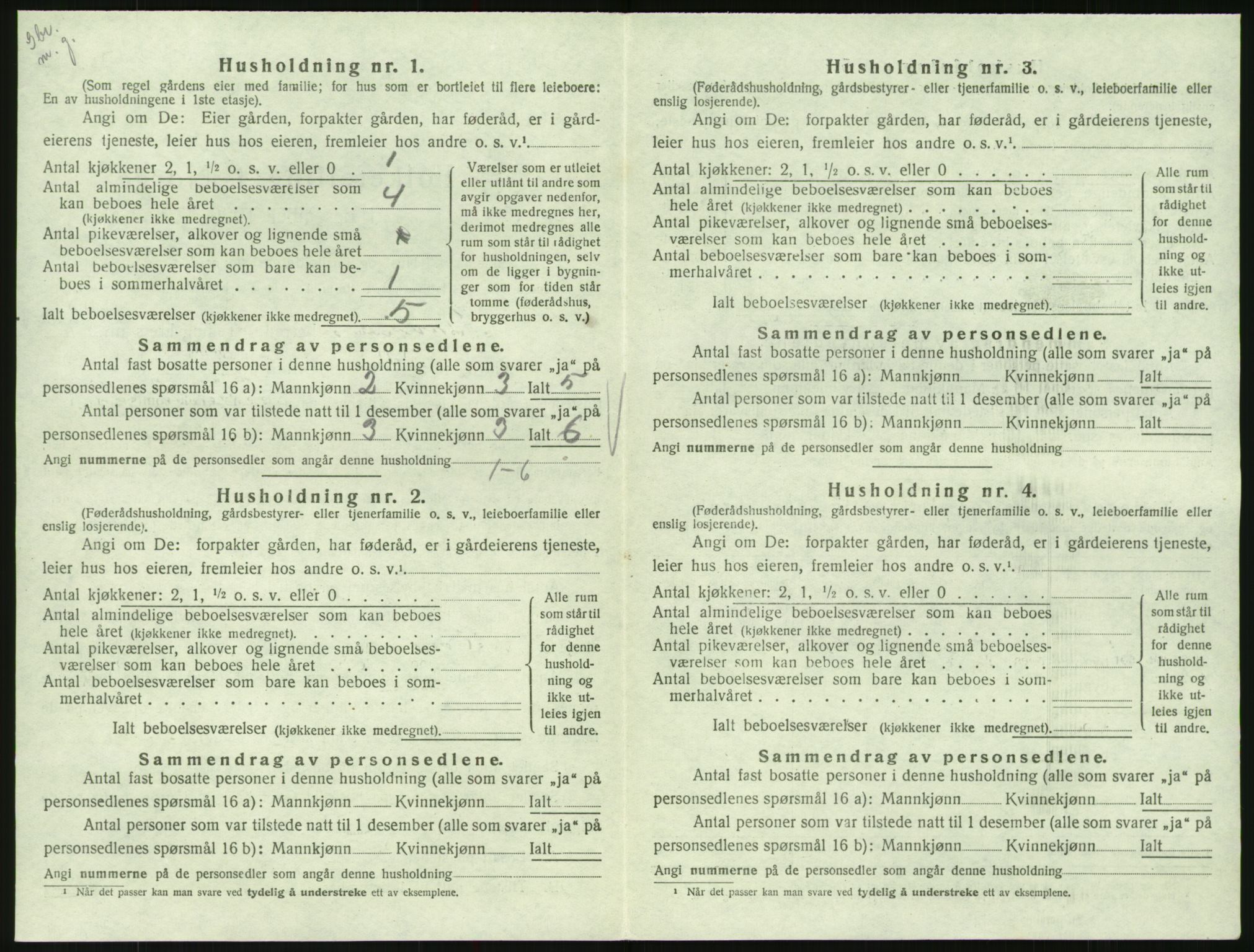 SAK, 1920 census for Hornnes, 1920, p. 530