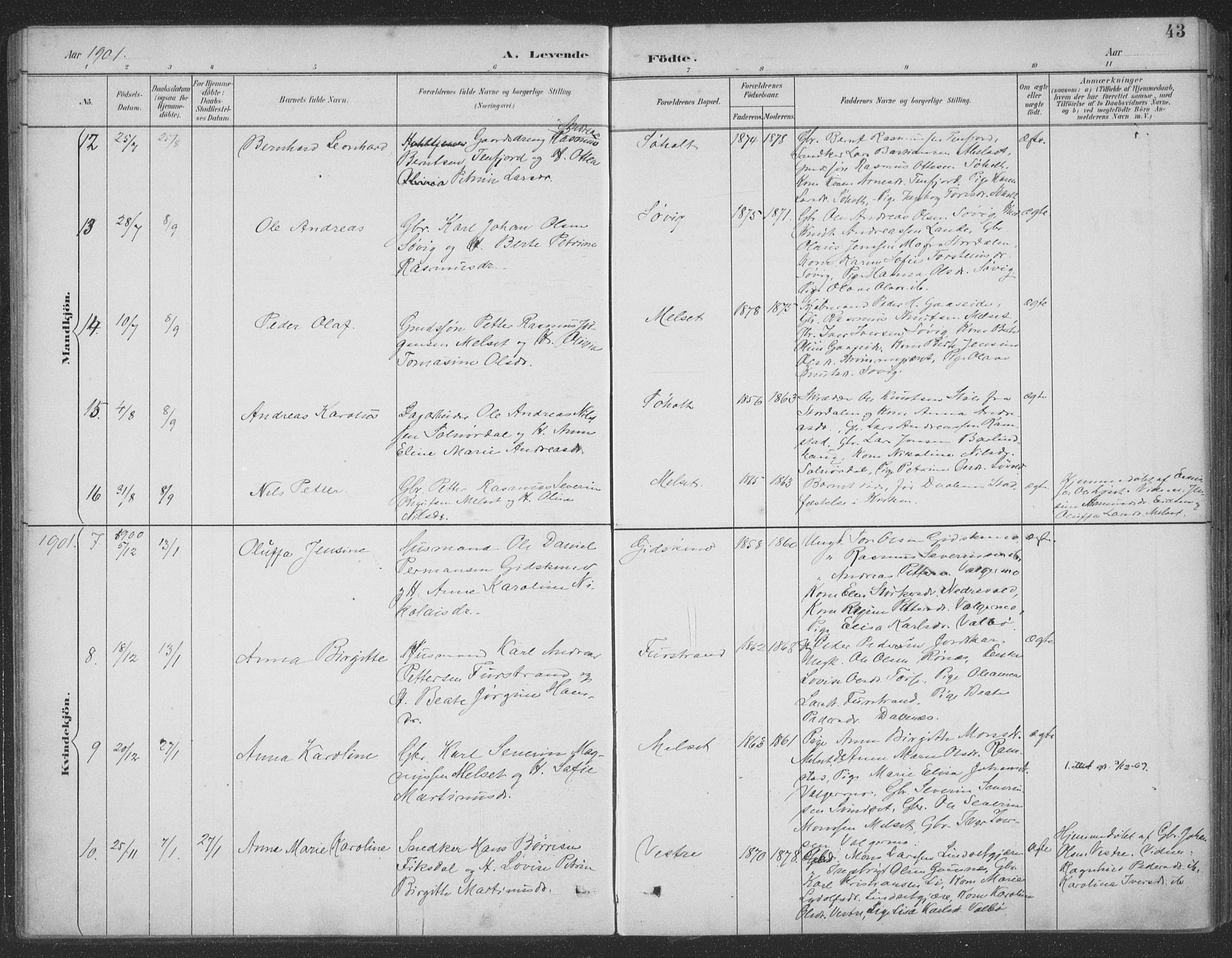 Ministerialprotokoller, klokkerbøker og fødselsregistre - Møre og Romsdal, AV/SAT-A-1454/522/L0316: Parish register (official) no. 522A11, 1890-1911, p. 43