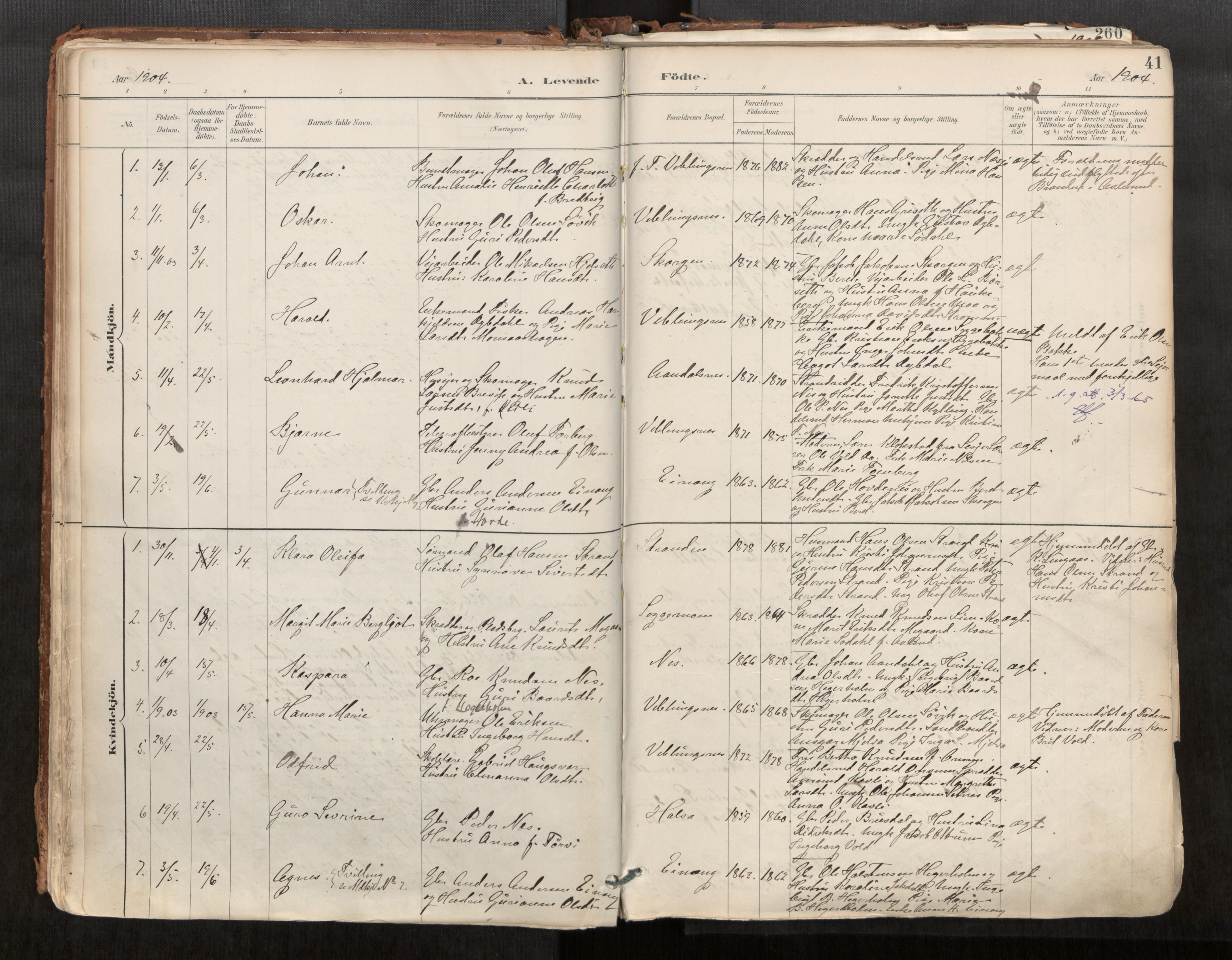 Ministerialprotokoller, klokkerbøker og fødselsregistre - Møre og Romsdal, AV/SAT-A-1454/544/L0585: Parish register (official) no. 544A06, 1887-1924, p. 41