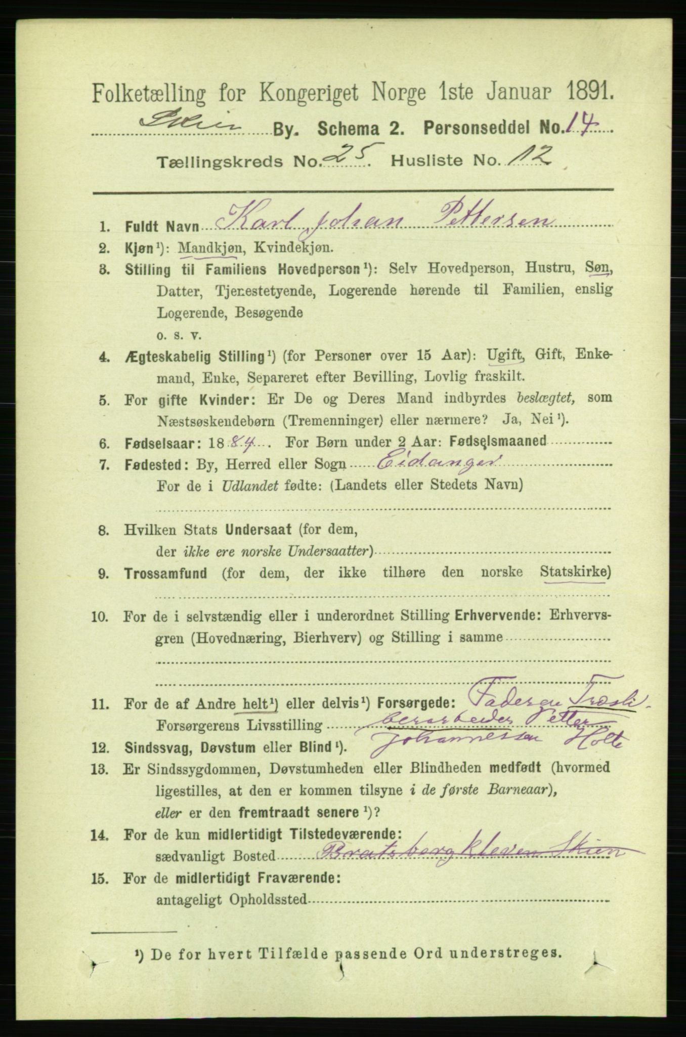 RA, 1891 census for 0806 Skien, 1891, p. 6131