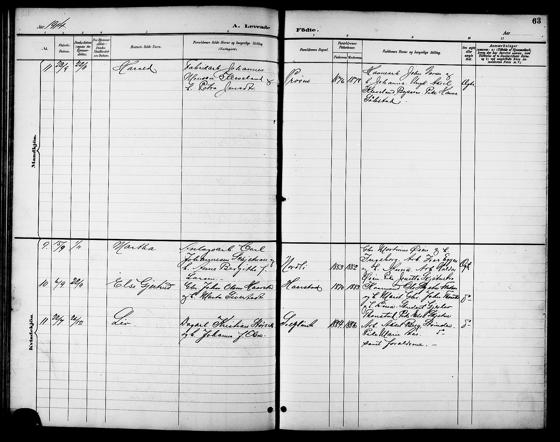 Ministerialprotokoller, klokkerbøker og fødselsregistre - Sør-Trøndelag, SAT/A-1456/621/L0460: Parish register (copy) no. 621C03, 1896-1914, p. 63