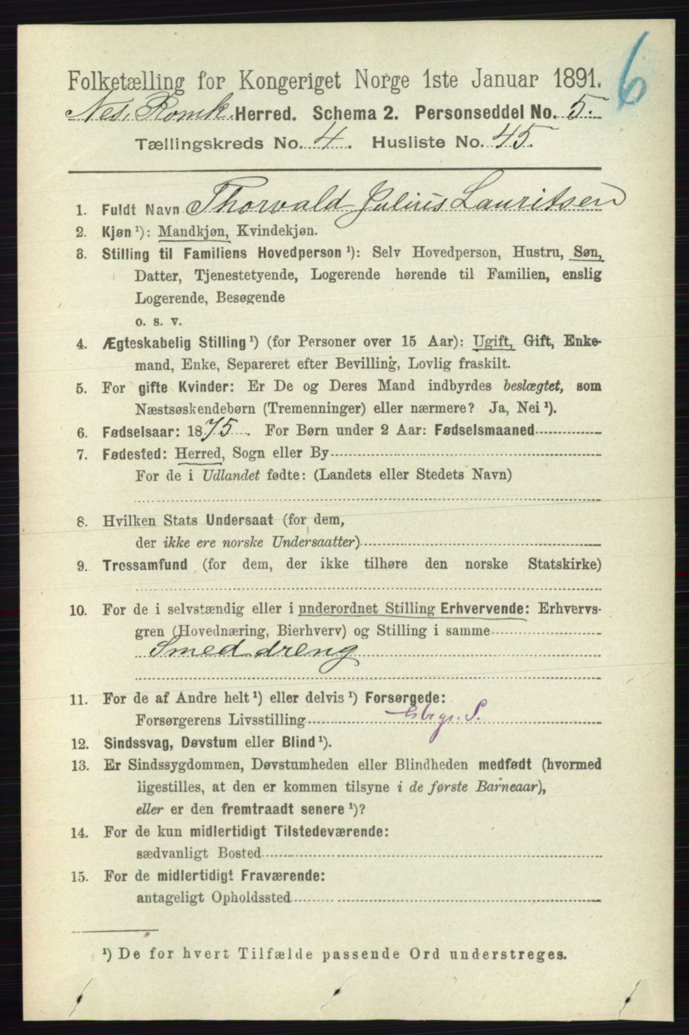 RA, 1891 census for 0236 Nes, 1891, p. 2513