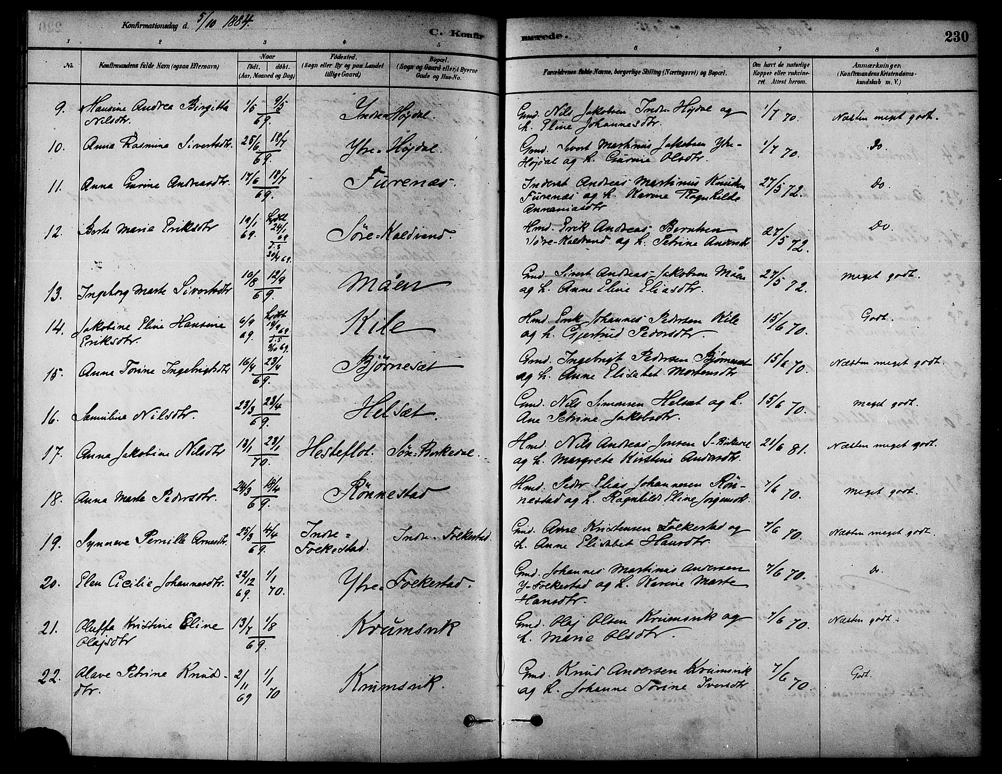 Ministerialprotokoller, klokkerbøker og fødselsregistre - Møre og Romsdal, AV/SAT-A-1454/511/L0141: Parish register (official) no. 511A08, 1878-1890, p. 230