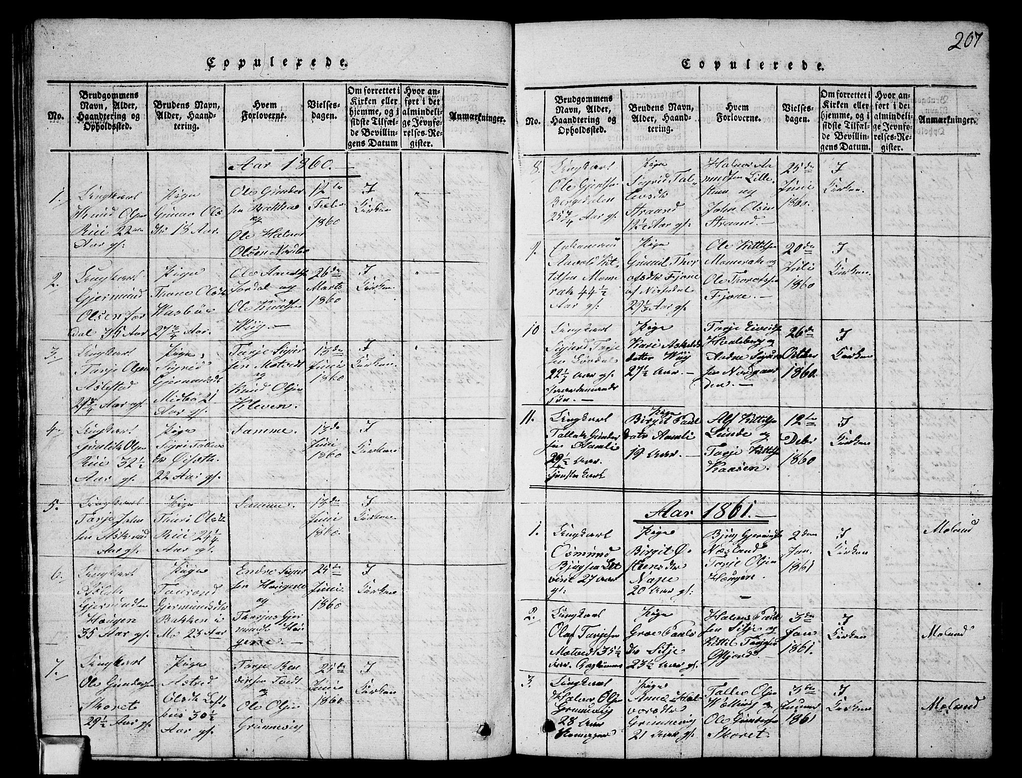 Fyresdal kirkebøker, SAKO/A-263/G/Ga/L0003: Parish register (copy) no. I 3, 1815-1863, p. 207
