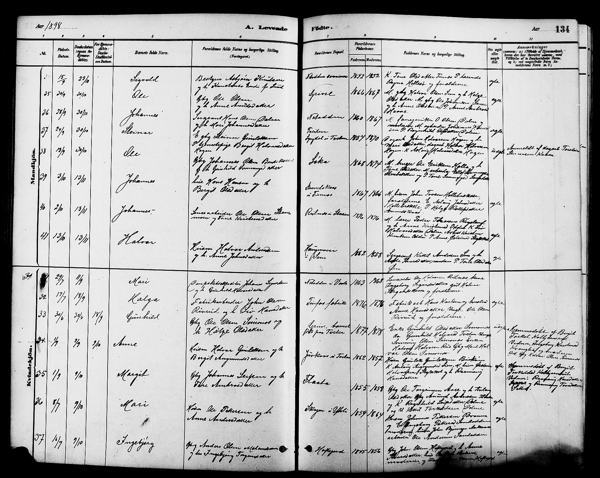 Heddal kirkebøker, SAKO/A-268/G/Ga/L0002: Parish register (copy) no. I 2, 1879-1908, p. 134