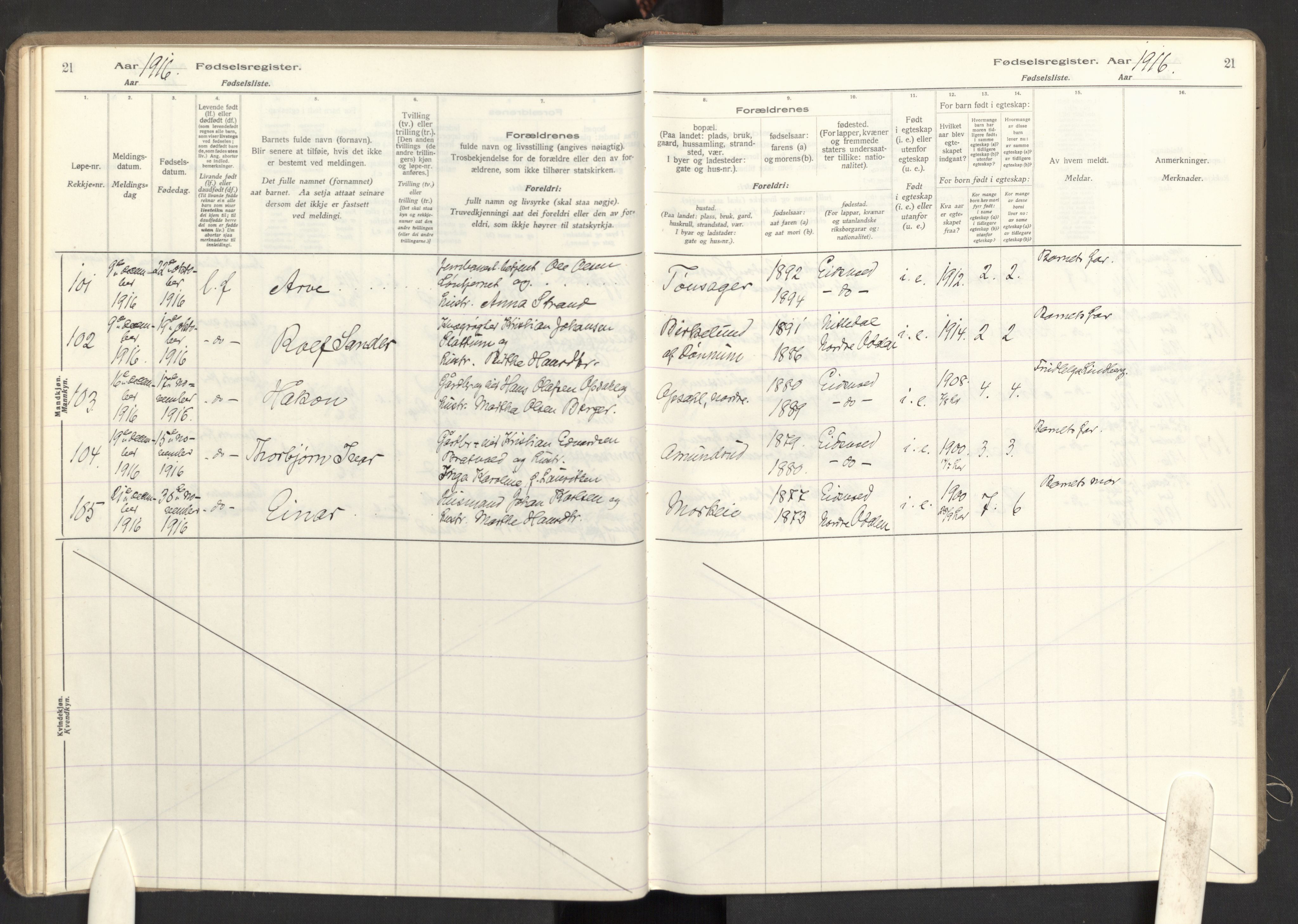 Eidsvoll prestekontor Kirkebøker, AV/SAO-A-10888/J/Ja/L0001: Birth register no. I 1, 1916-1924, p. 21