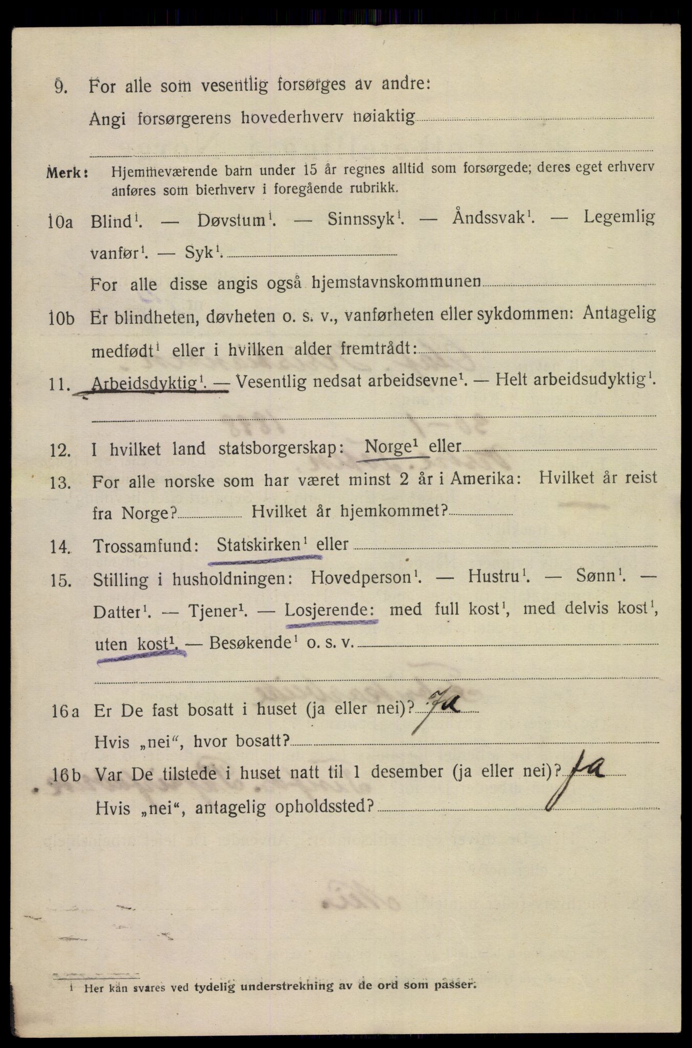 SAKO, 1920 census for Notodden, 1920, p. 6571