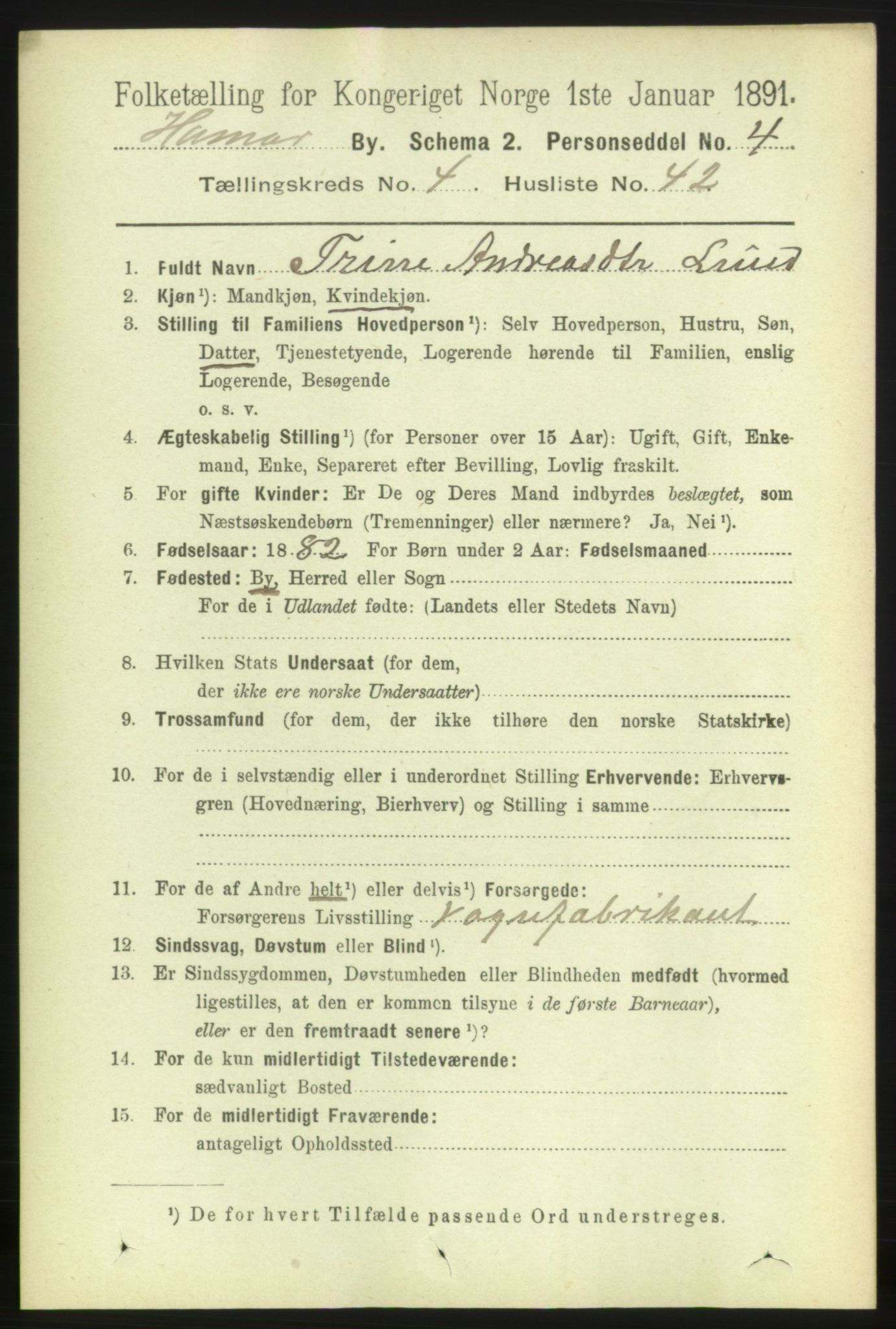 RA, 1891 census for 0401 Hamar, 1891, p. 3596