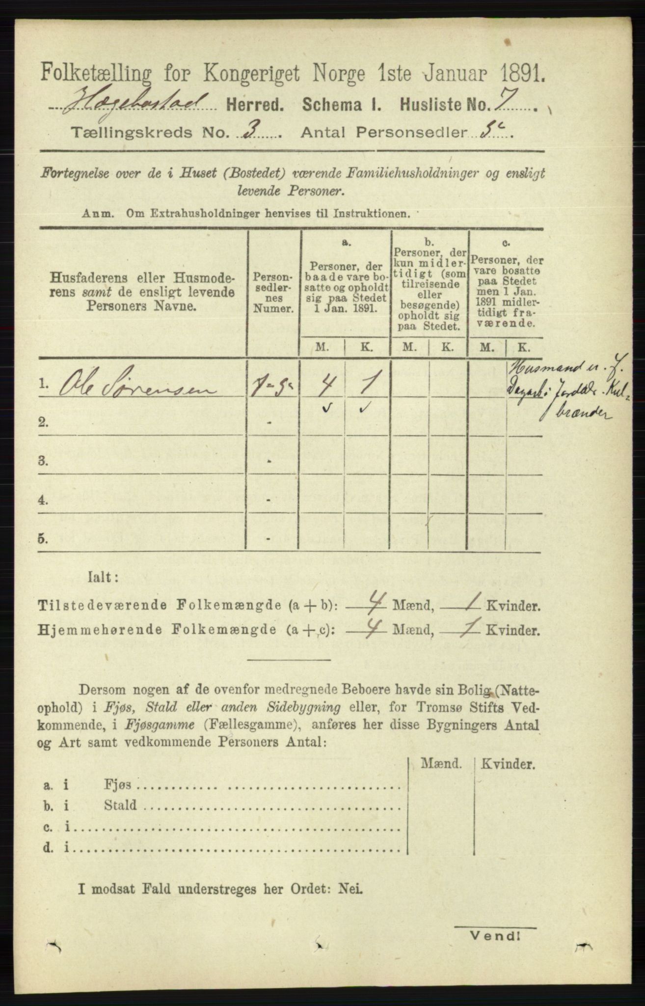 RA, 1891 census for 1034 Hægebostad, 1891, p. 823