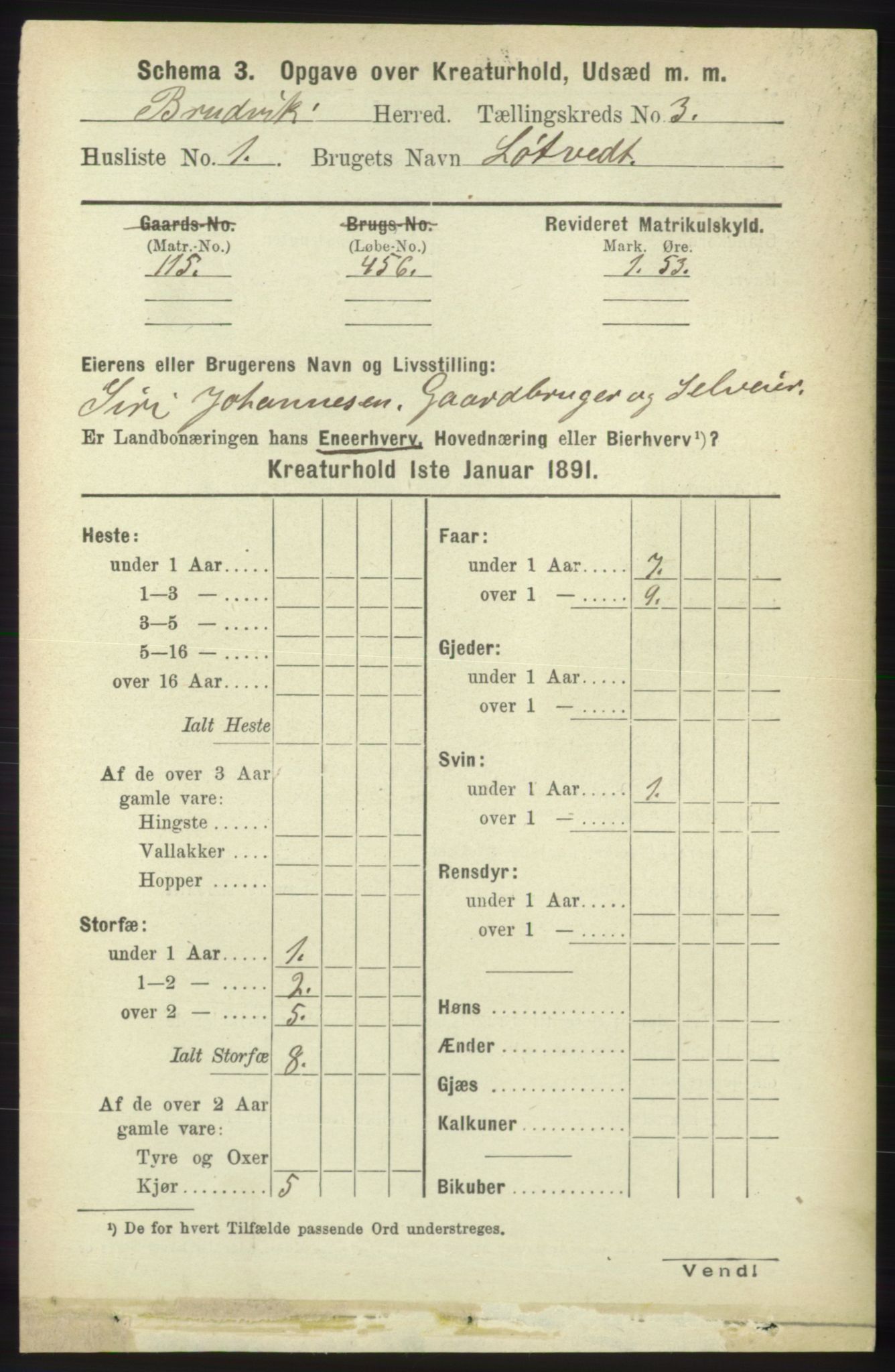 RA, 1891 census for 1251 Bruvik, 1891, p. 4339
