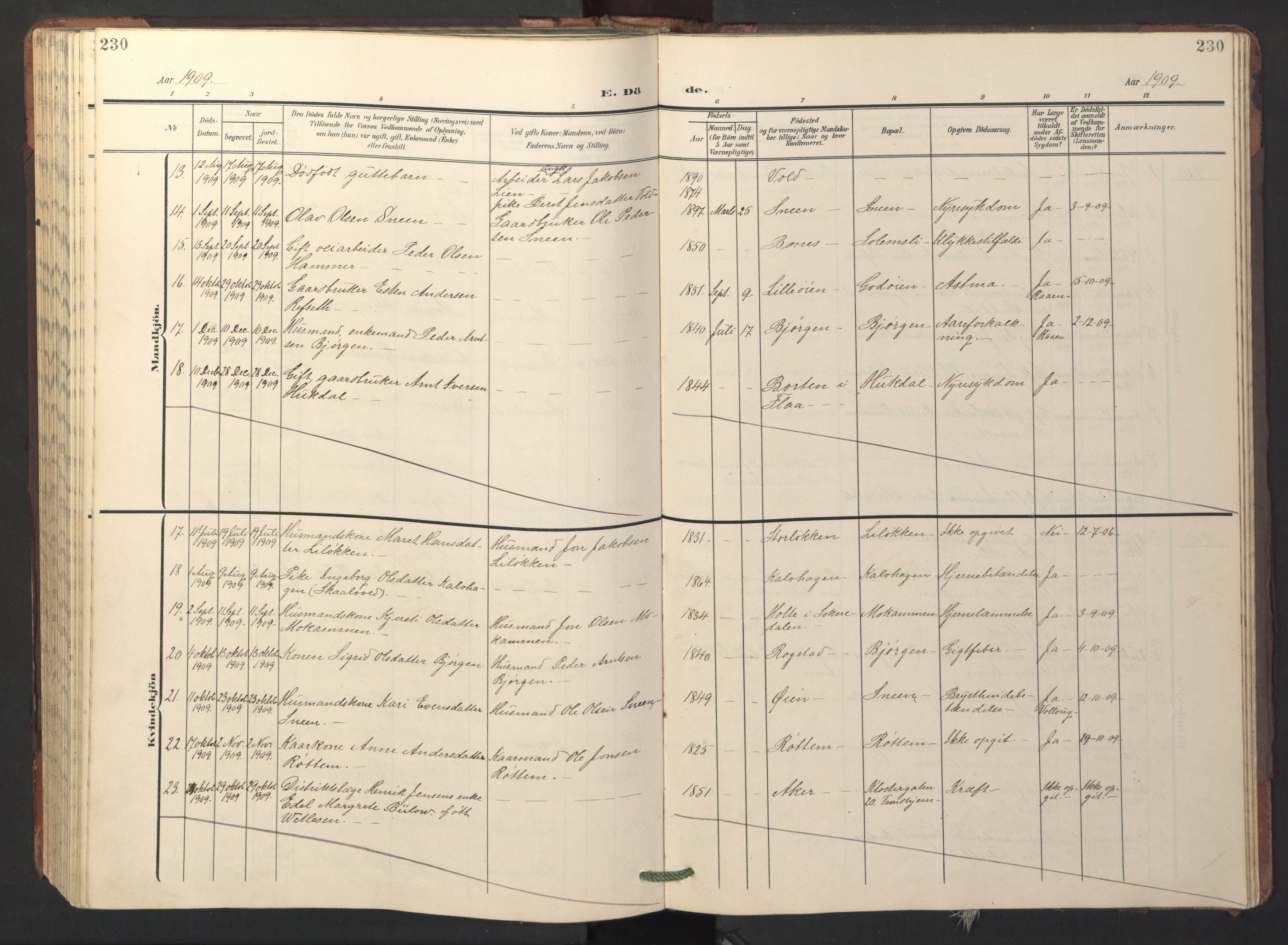 Ministerialprotokoller, klokkerbøker og fødselsregistre - Sør-Trøndelag, SAT/A-1456/687/L1019: Parish register (copy) no. 687C03, 1904-1931, p. 230