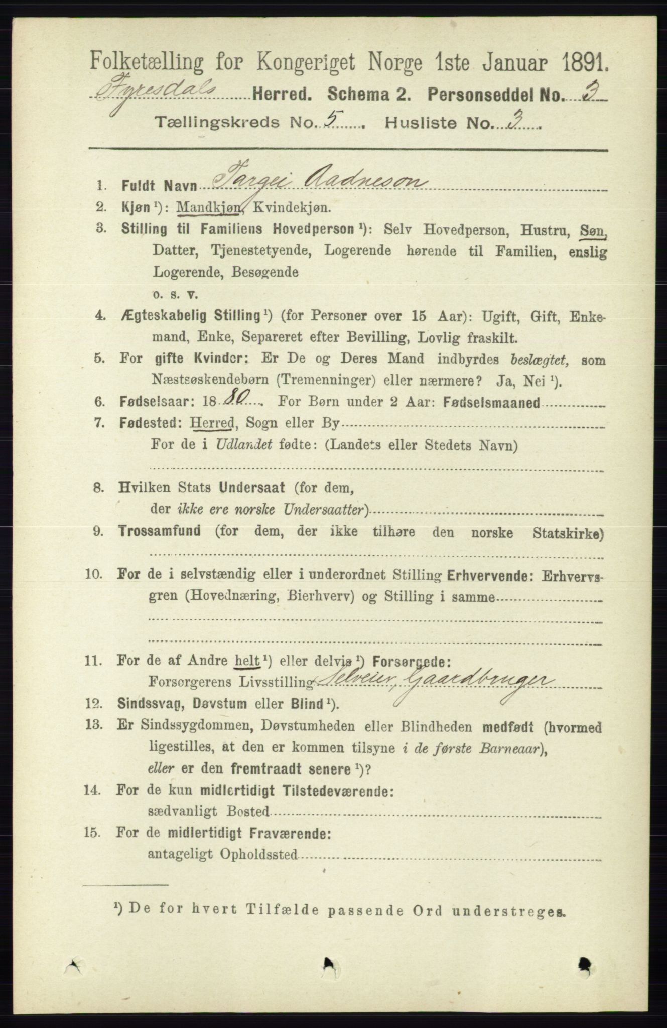 RA, 1891 census for 0831 Fyresdal, 1891, p. 1300