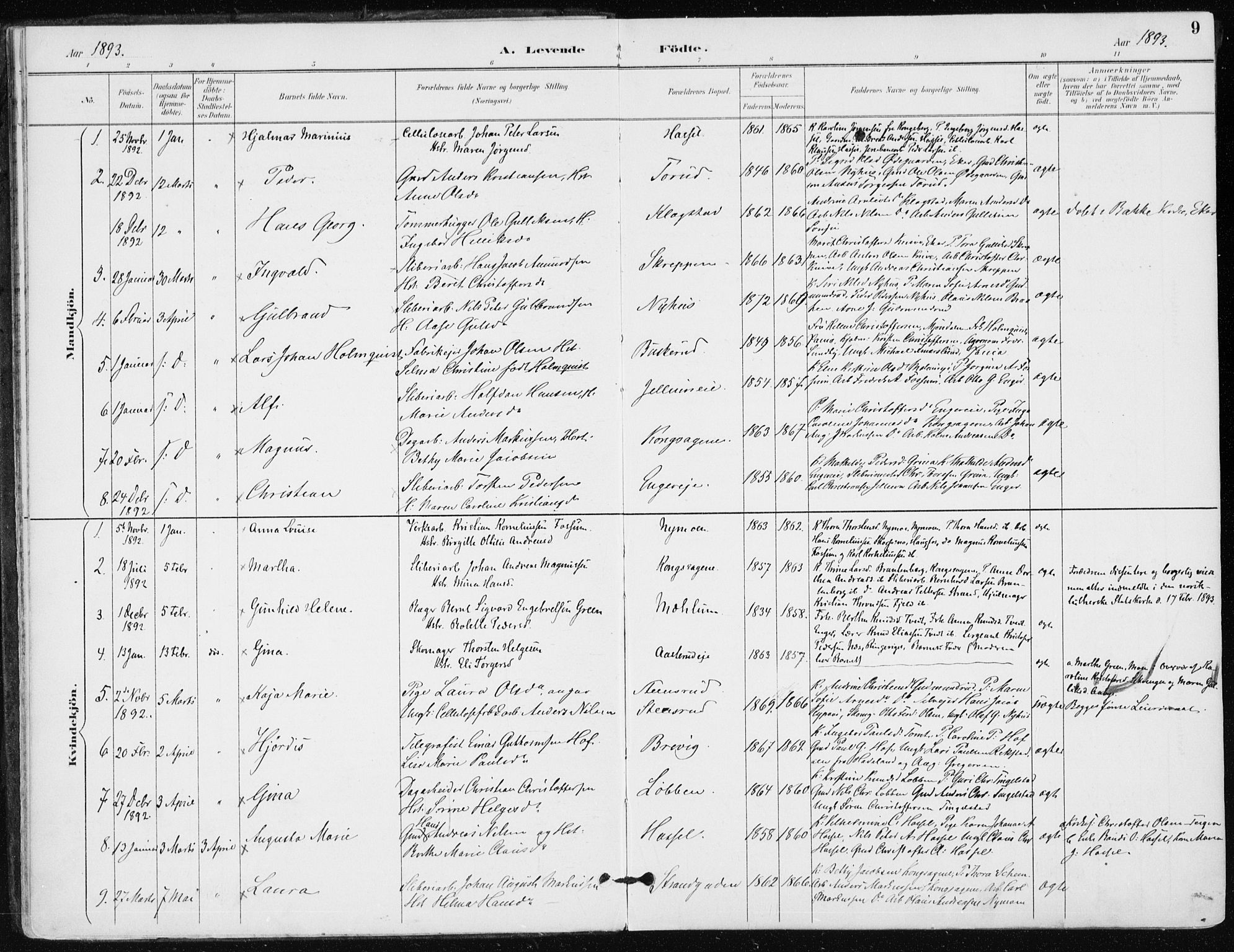 Modum kirkebøker, AV/SAKO-A-234/F/Fa/L0016: Parish register (official) no. 16, 1890-1899, p. 9