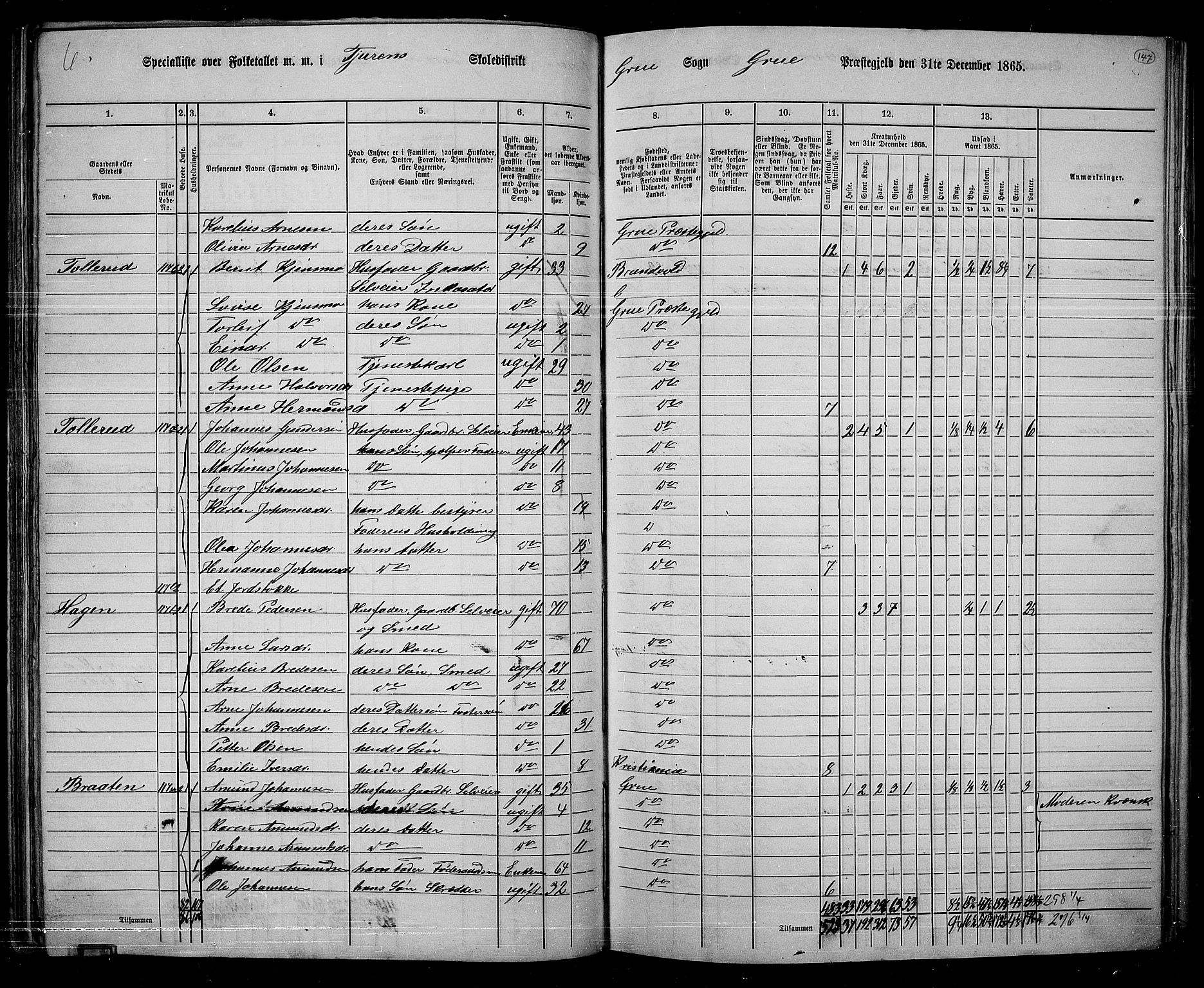 RA, 1865 census for Grue, 1865, p. 126