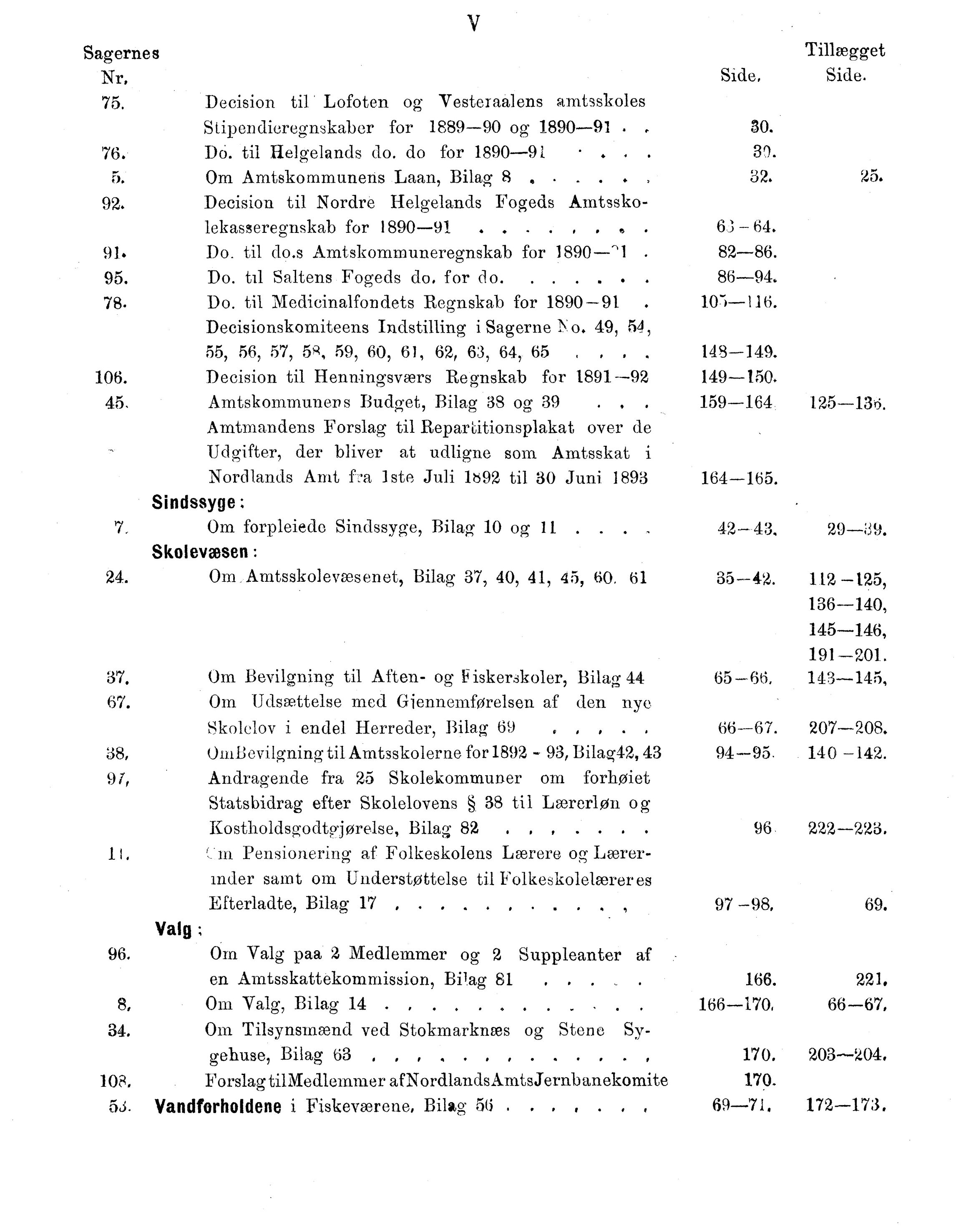 Nordland Fylkeskommune. Fylkestinget, AIN/NFK-17/176/A/Ac/L0016: Fylkestingsforhandlinger 1891-1893, 1891-1893