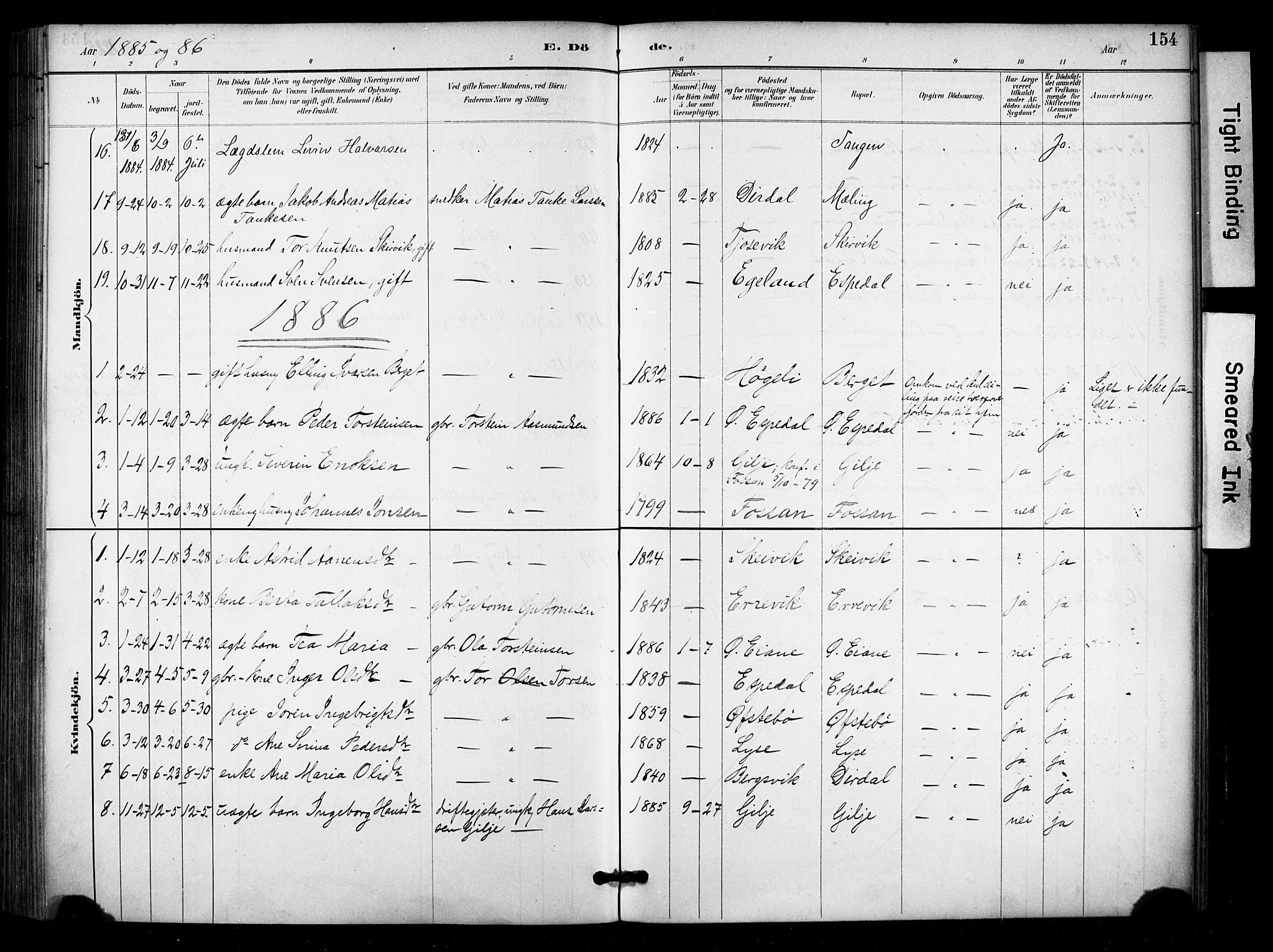 Høgsfjord sokneprestkontor, AV/SAST-A-101624/H/Ha/Haa/L0006: Parish register (official) no. A 6, 1885-1897, p. 154