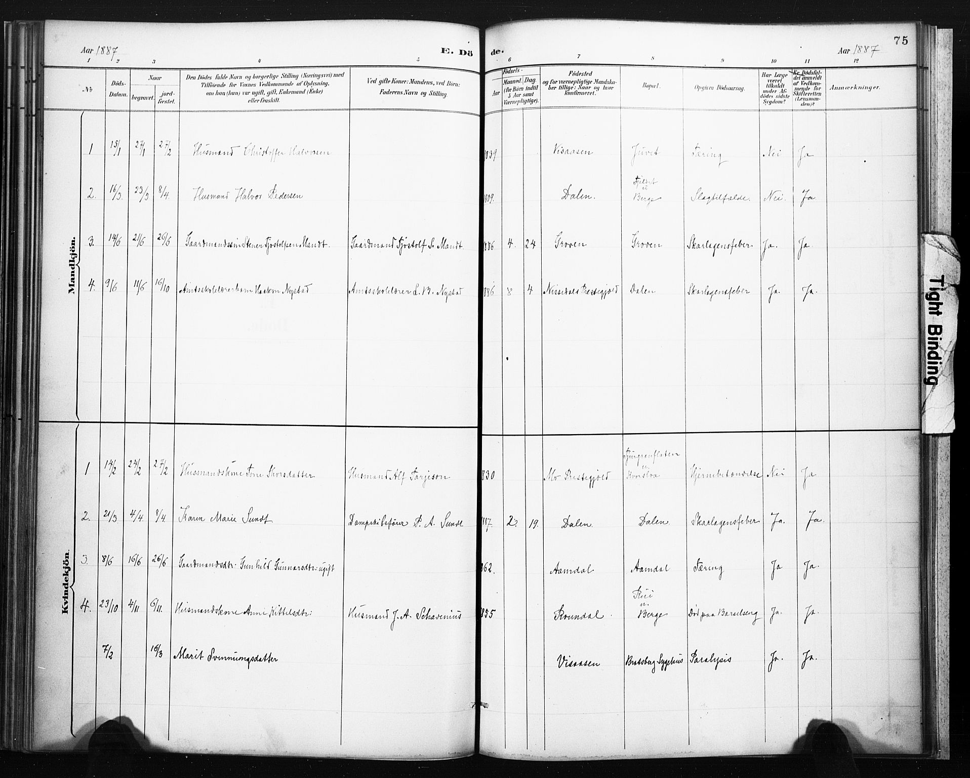 Lårdal kirkebøker, SAKO/A-284/F/Fb/L0002: Parish register (official) no. II 2, 1887-1918, p. 75
