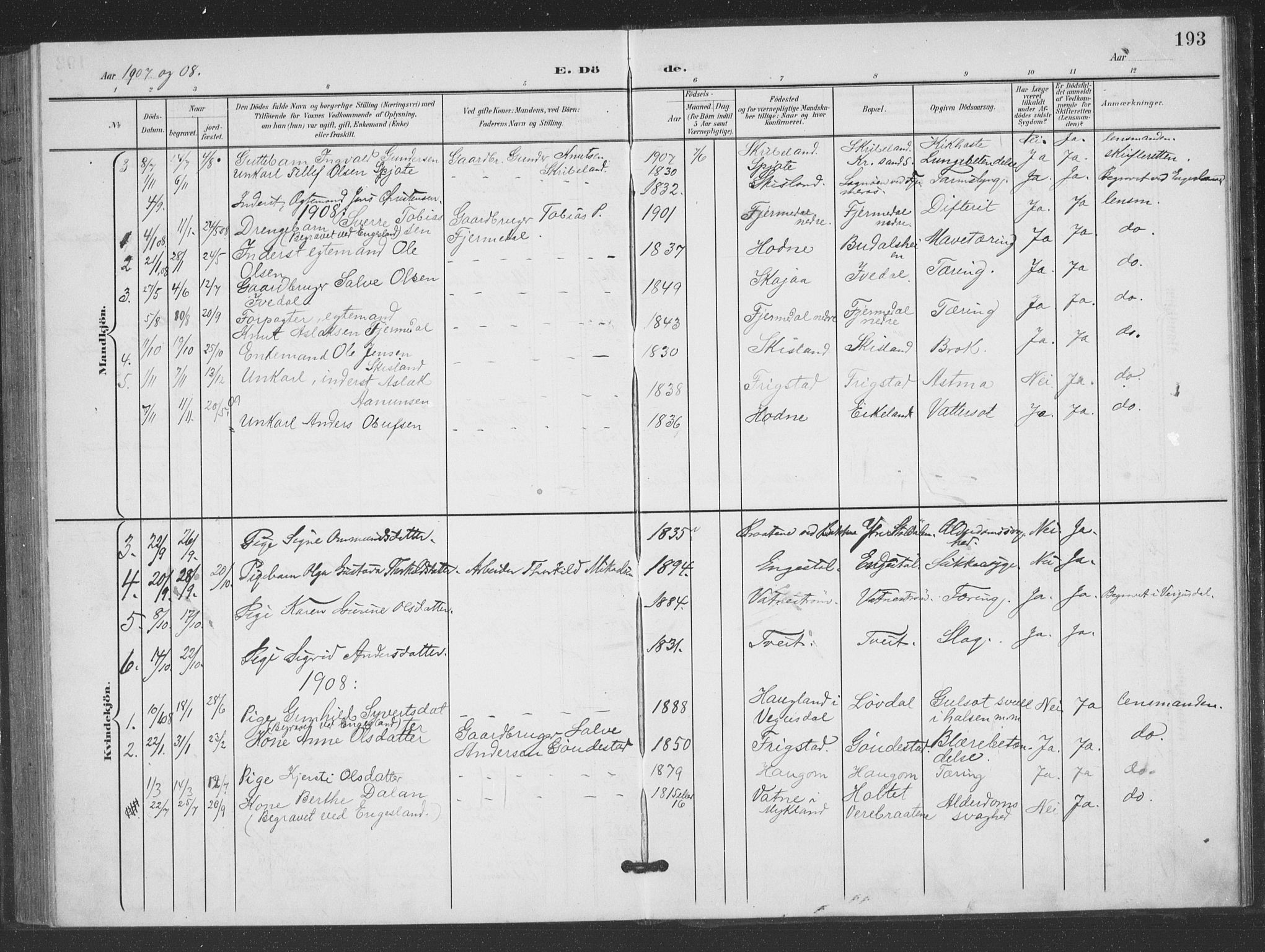 Evje sokneprestkontor, AV/SAK-1111-0008/F/Fb/Fbc/L0005: Parish register (copy) no. B 5, 1901-1935, p. 193