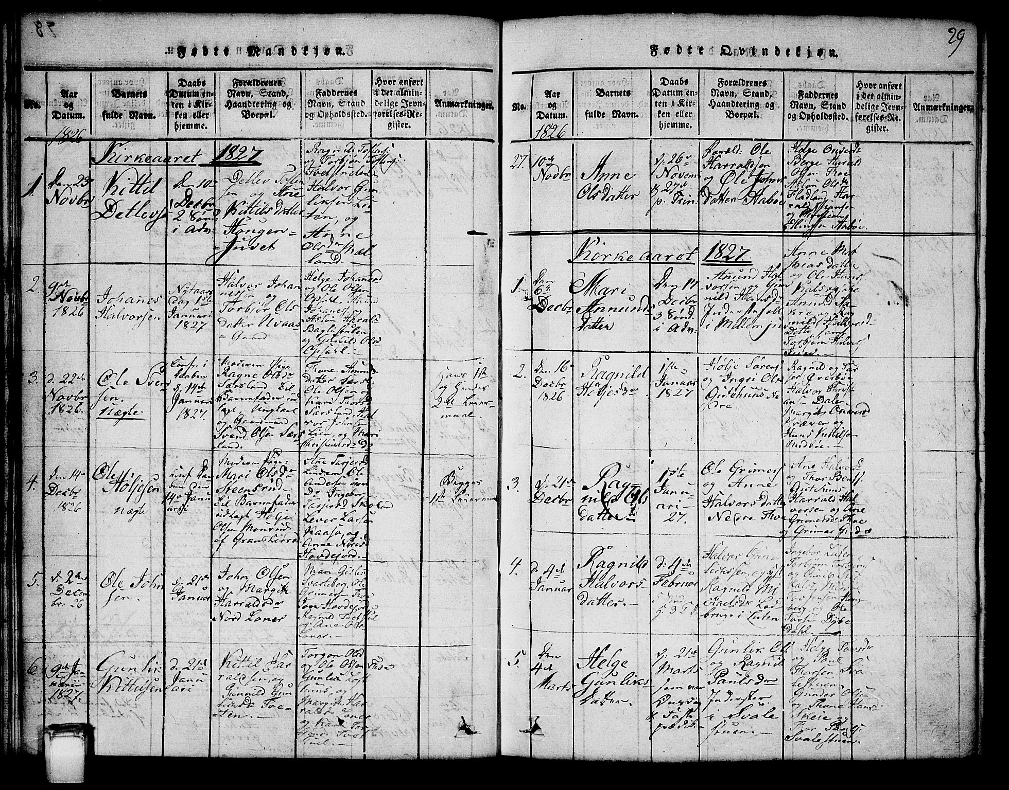Hjartdal kirkebøker, SAKO/A-270/G/Ga/L0001: Parish register (copy) no. I 1, 1815-1842, p. 29