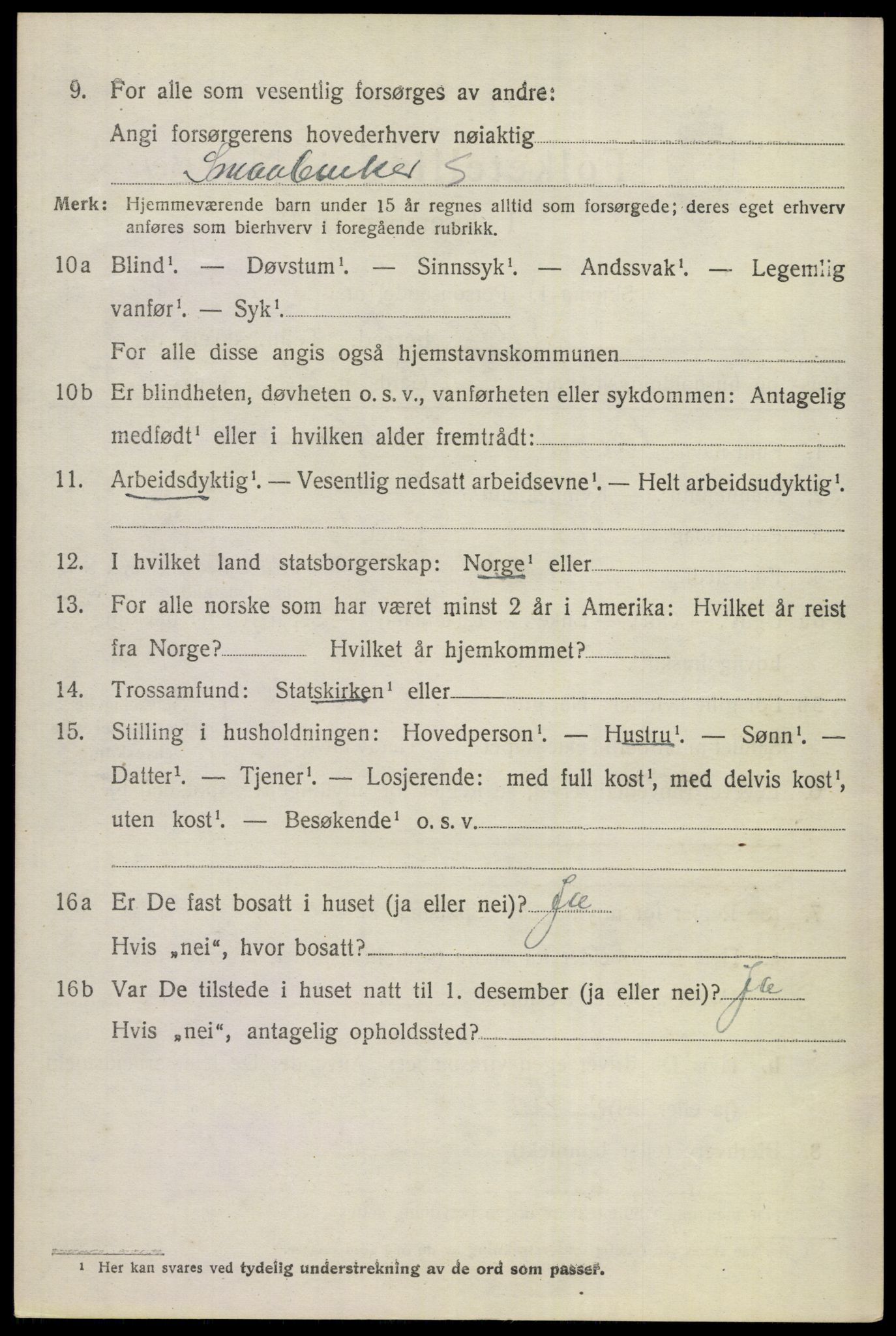 SAKO, 1920 census for Gol, 1920, p. 2213