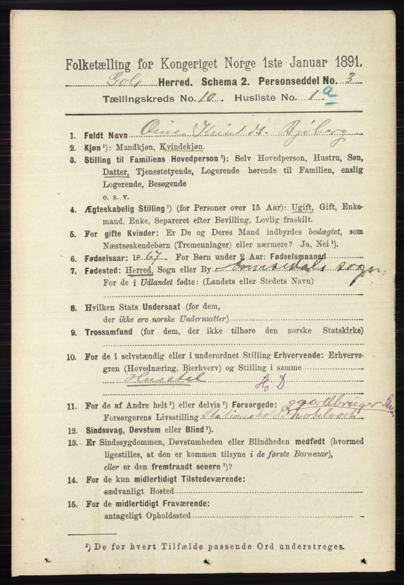 RA, 1891 census for 0617 Gol og Hemsedal, 1891, p. 4031