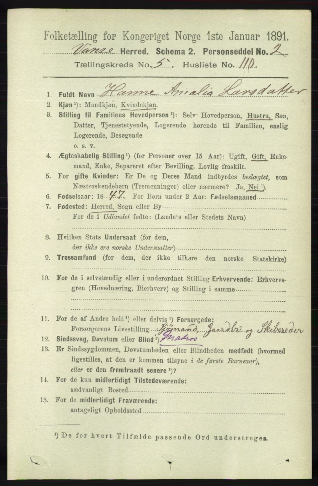 RA, 1891 census for 1041 Vanse, 1891, p. 3386