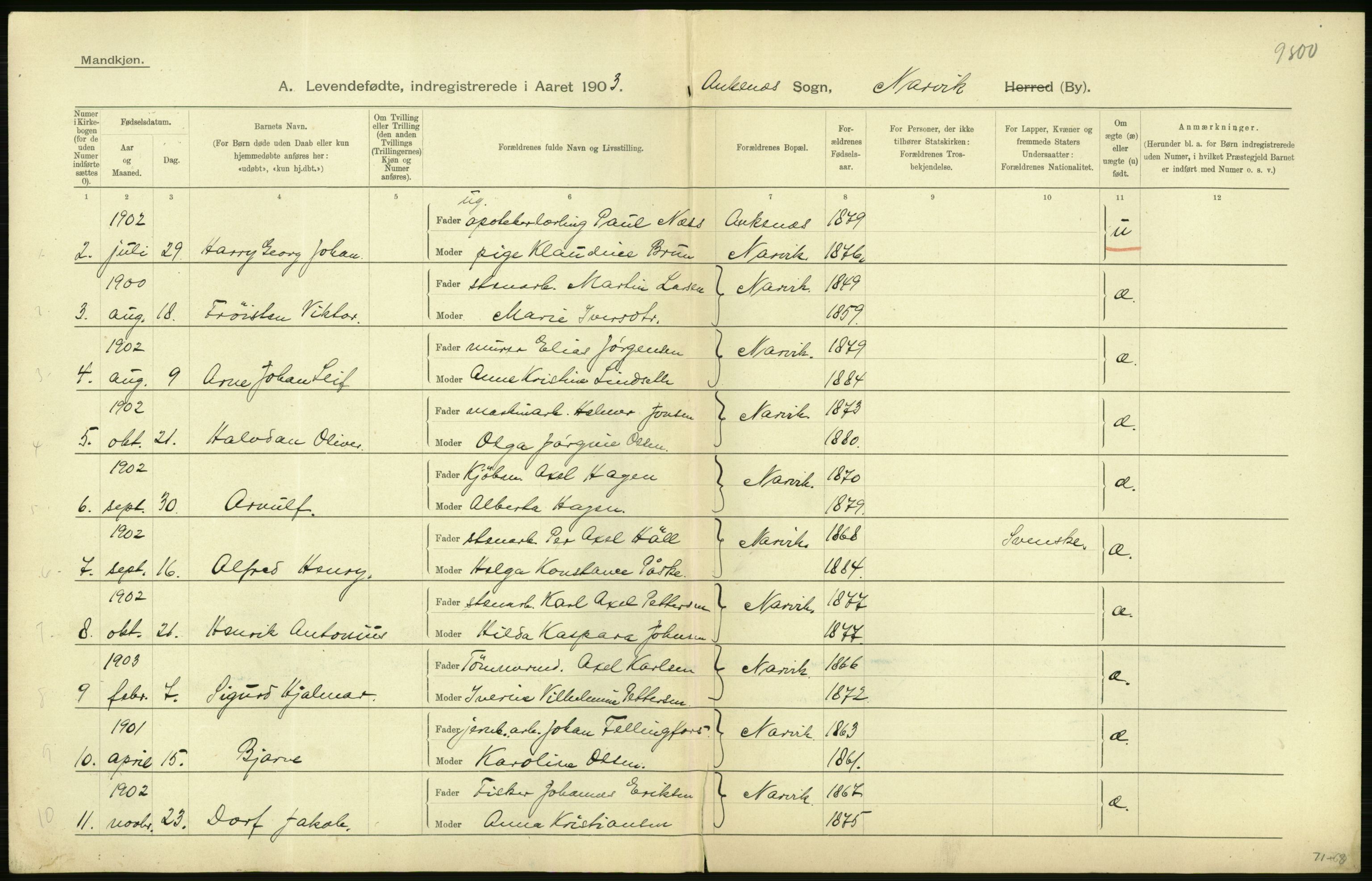 Statistisk sentralbyrå, Sosiodemografiske emner, Befolkning, AV/RA-S-2228/D/Df/Dfa/Dfaa/L0019: Nordlands amt: Fødte, gifte, døde., 1903, p. 26