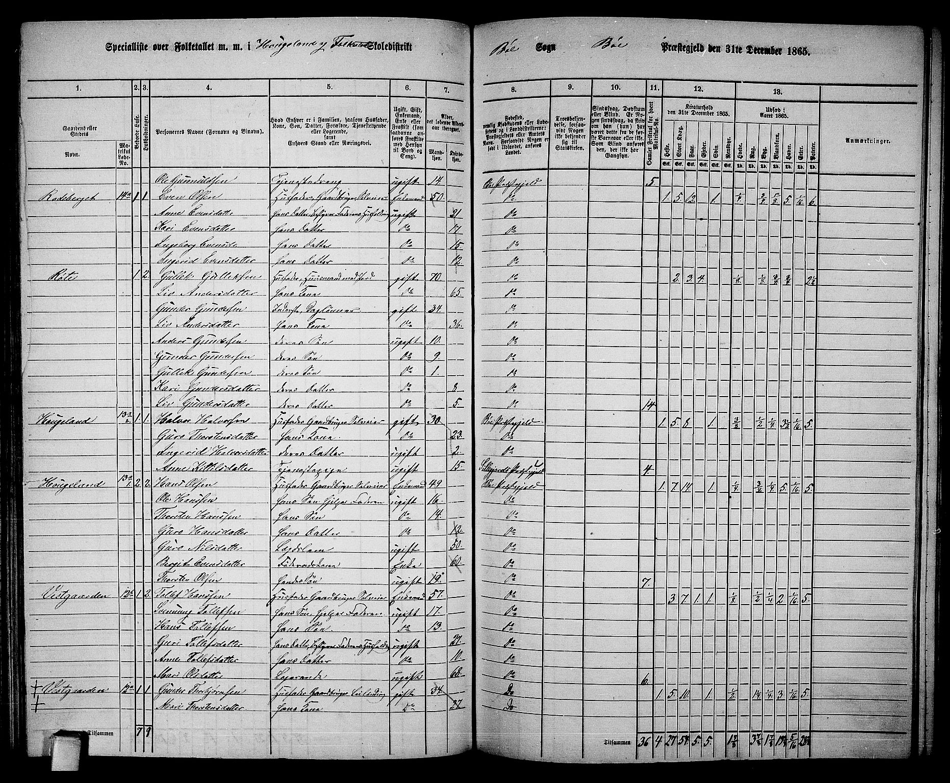 RA, 1865 census for Bø, 1865, p. 123