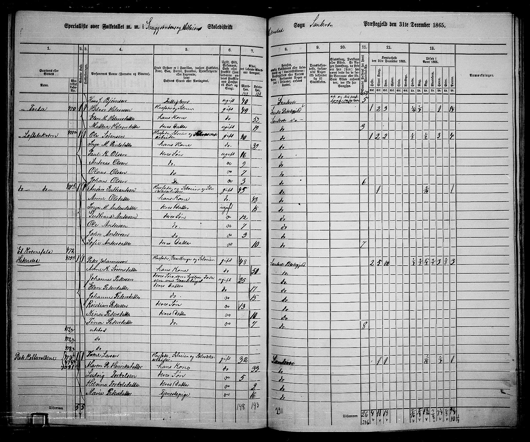 RA, 1865 census for Sandsvær, 1865, p. 161