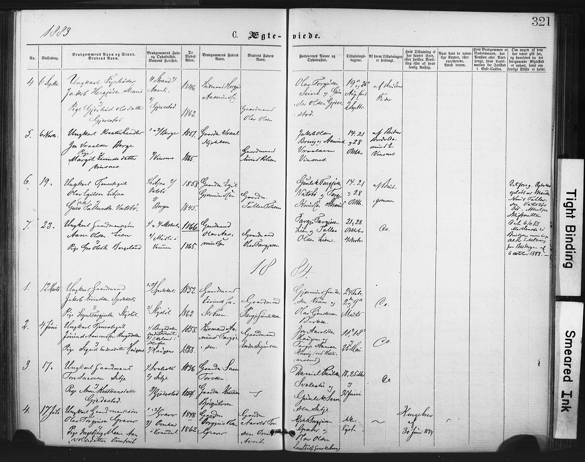 Fyresdal kirkebøker, SAKO/A-263/F/Fa/L0006: Parish register (official) no. I 6, 1872-1886, p. 321