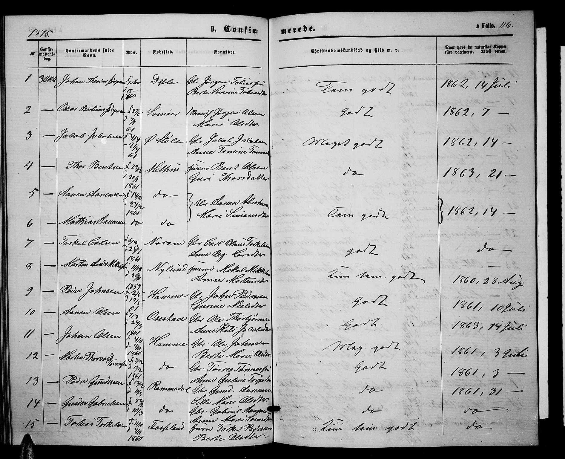 Sør-Audnedal sokneprestkontor, AV/SAK-1111-0039/F/Fb/Fbb/L0004: Parish register (copy) no. B 4, 1868-1879, p. 116