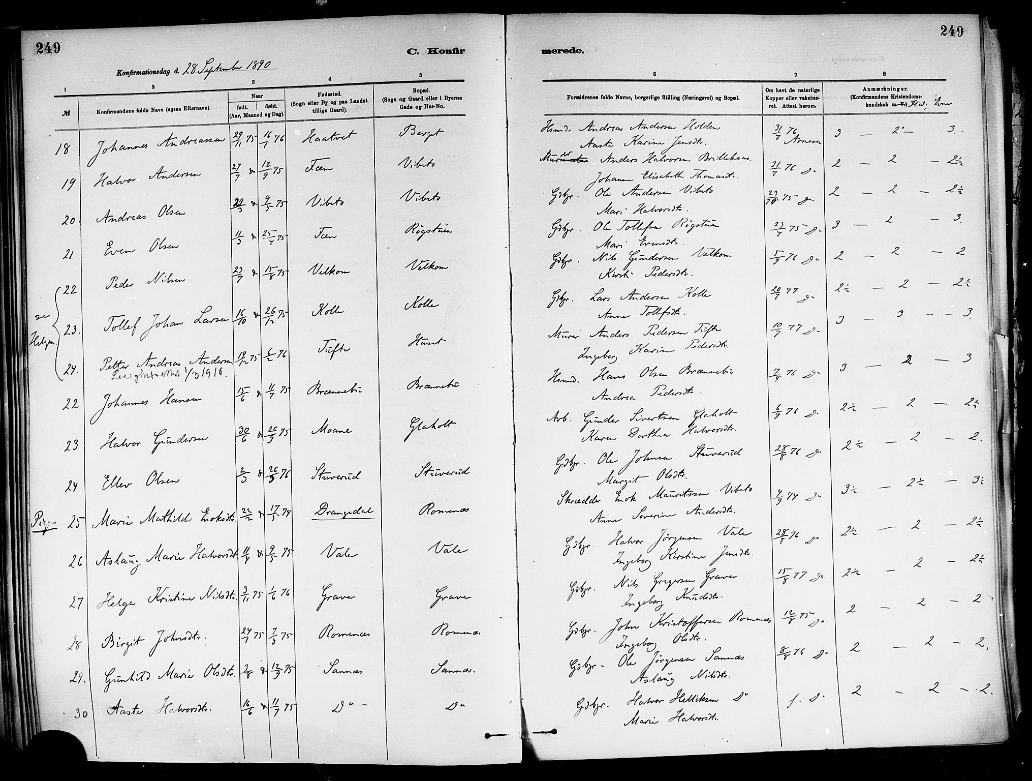 Holla kirkebøker, AV/SAKO-A-272/F/Fa/L0008: Parish register (official) no. 8, 1882-1897, p. 249