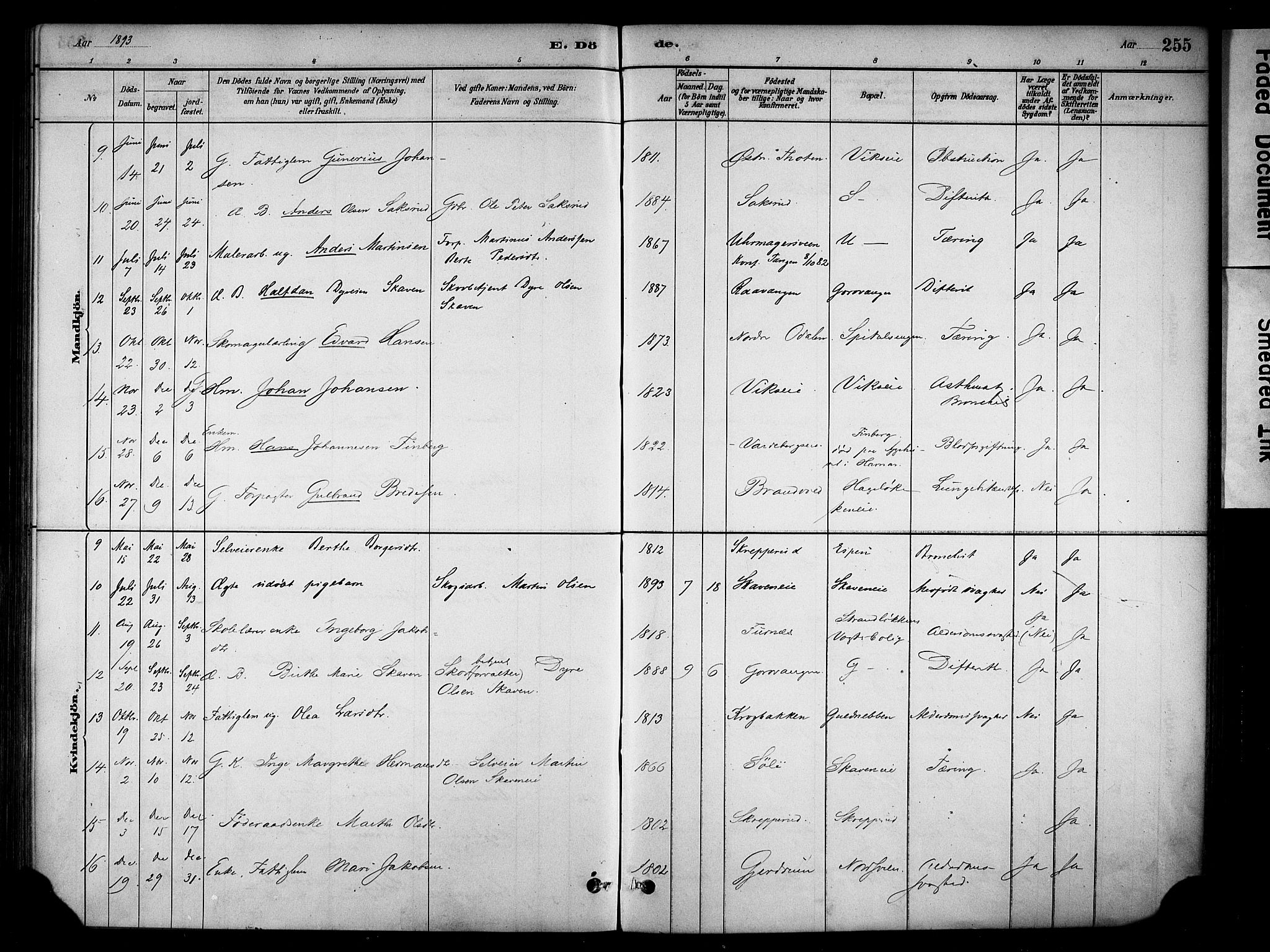 Stange prestekontor, AV/SAH-PREST-002/K/L0018: Parish register (official) no. 18, 1880-1896, p. 255