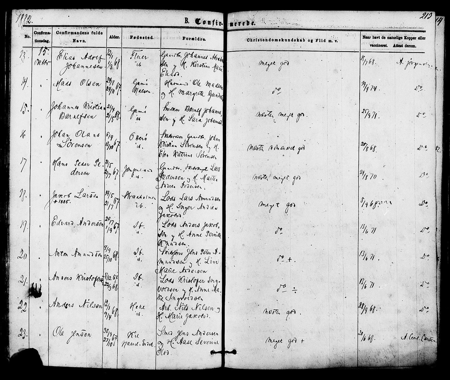 Skåtøy kirkebøker, SAKO/A-304/F/Fa/L0001: Parish register (official) no. I 1, 1874-1883, p. 213