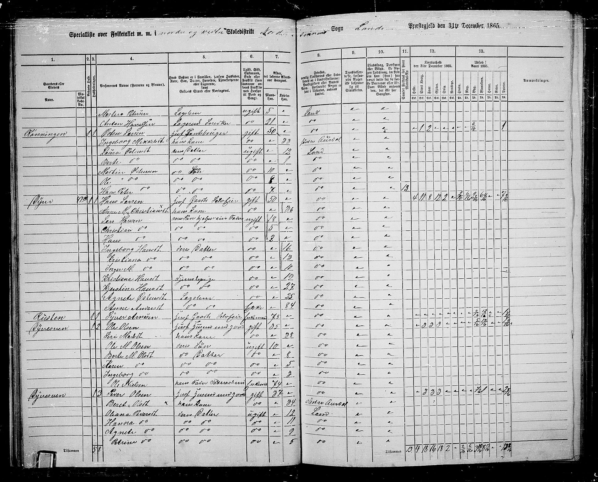 RA, 1865 census for Land, 1865, p. 38