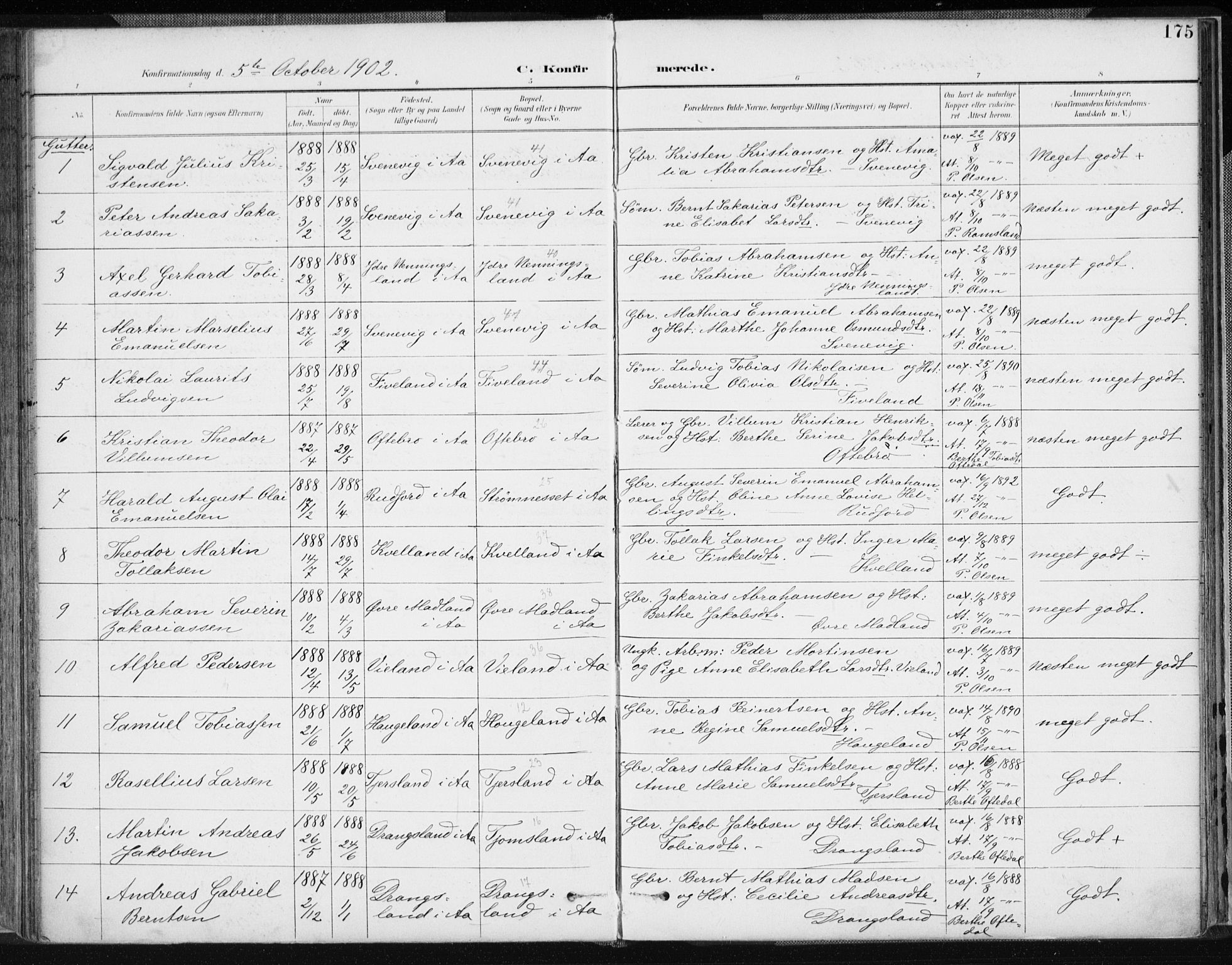 Lyngdal sokneprestkontor, AV/SAK-1111-0029/F/Fa/Fac/L0012: Parish register (official) no. A 12, 1894-1918, p. 175