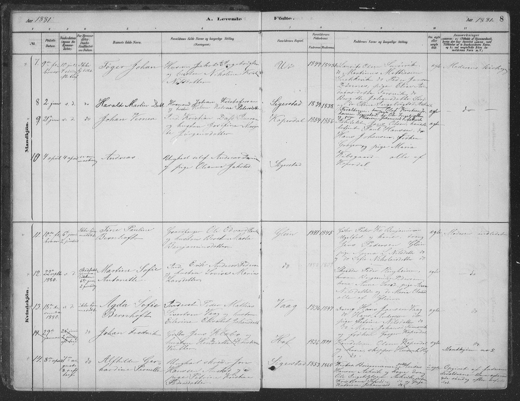 Ministerialprotokoller, klokkerbøker og fødselsregistre - Nordland, AV/SAT-A-1459/835/L0532: Parish register (copy) no. 835C04, 1880-1905, p. 8