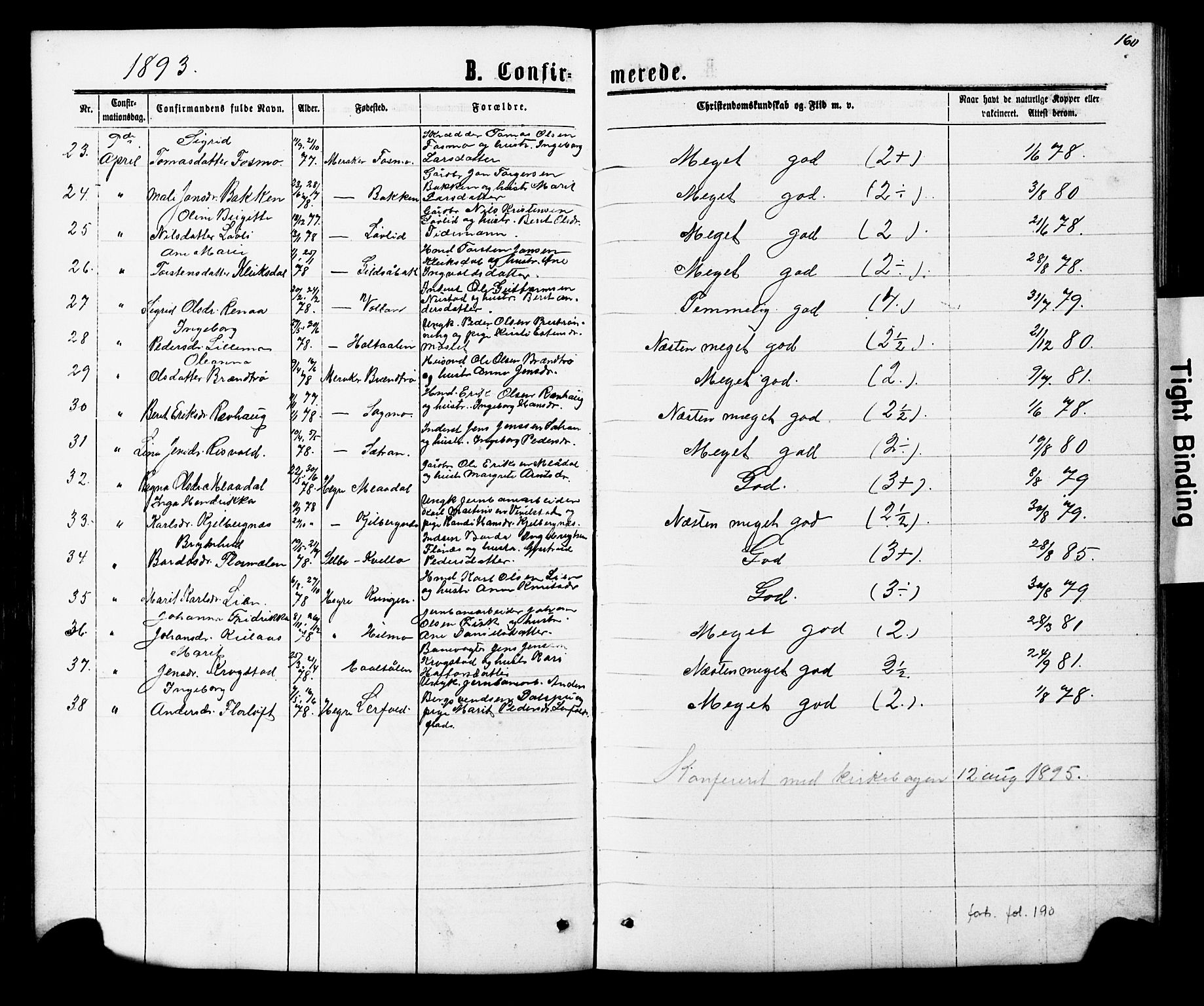 Ministerialprotokoller, klokkerbøker og fødselsregistre - Nord-Trøndelag, SAT/A-1458/706/L0049: Parish register (copy) no. 706C01, 1864-1895, p. 160