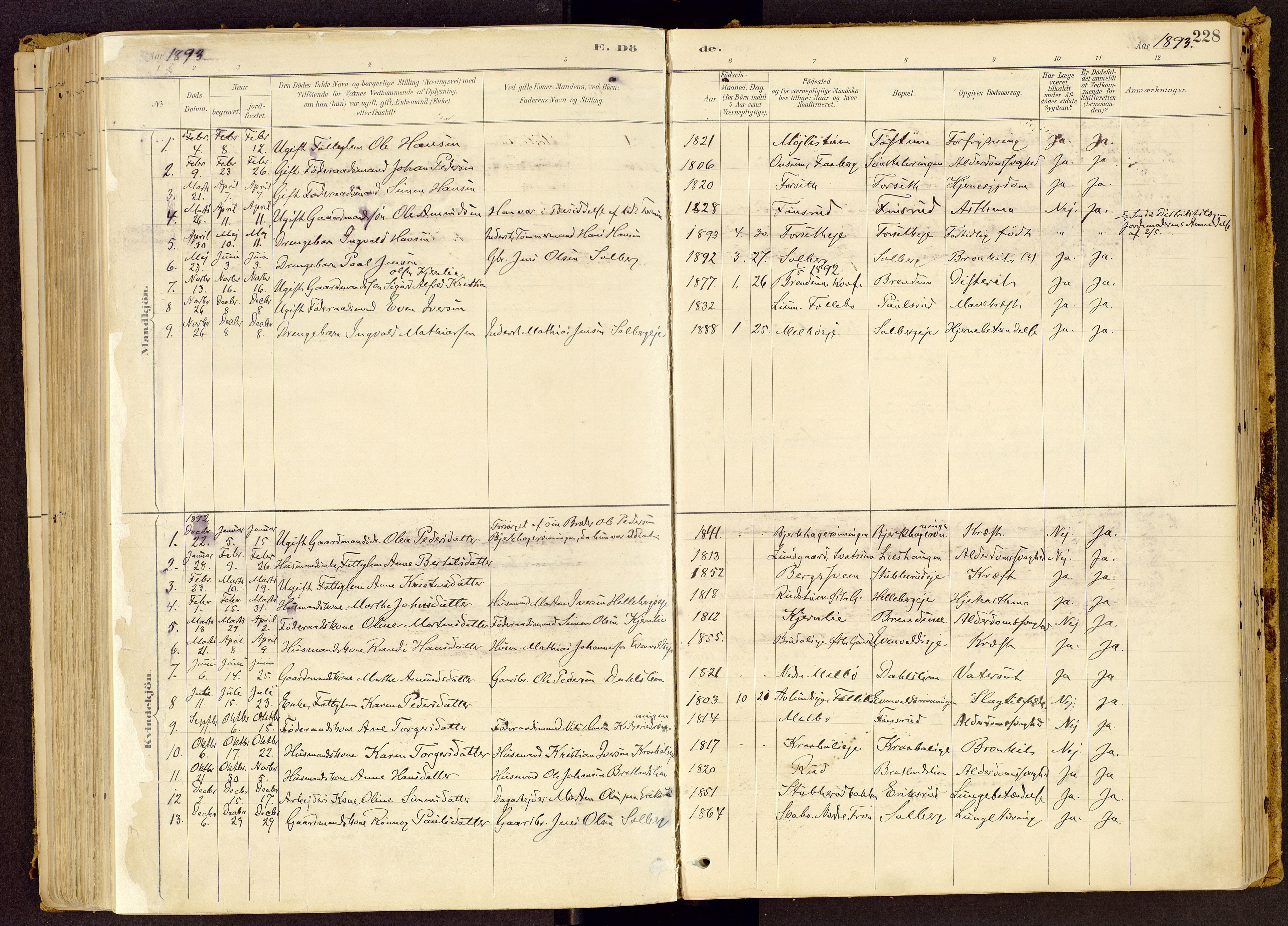 Vestre Gausdal prestekontor, SAH/PREST-094/H/Ha/Haa/L0001: Parish register (official) no. 1, 1887-1914, p. 228