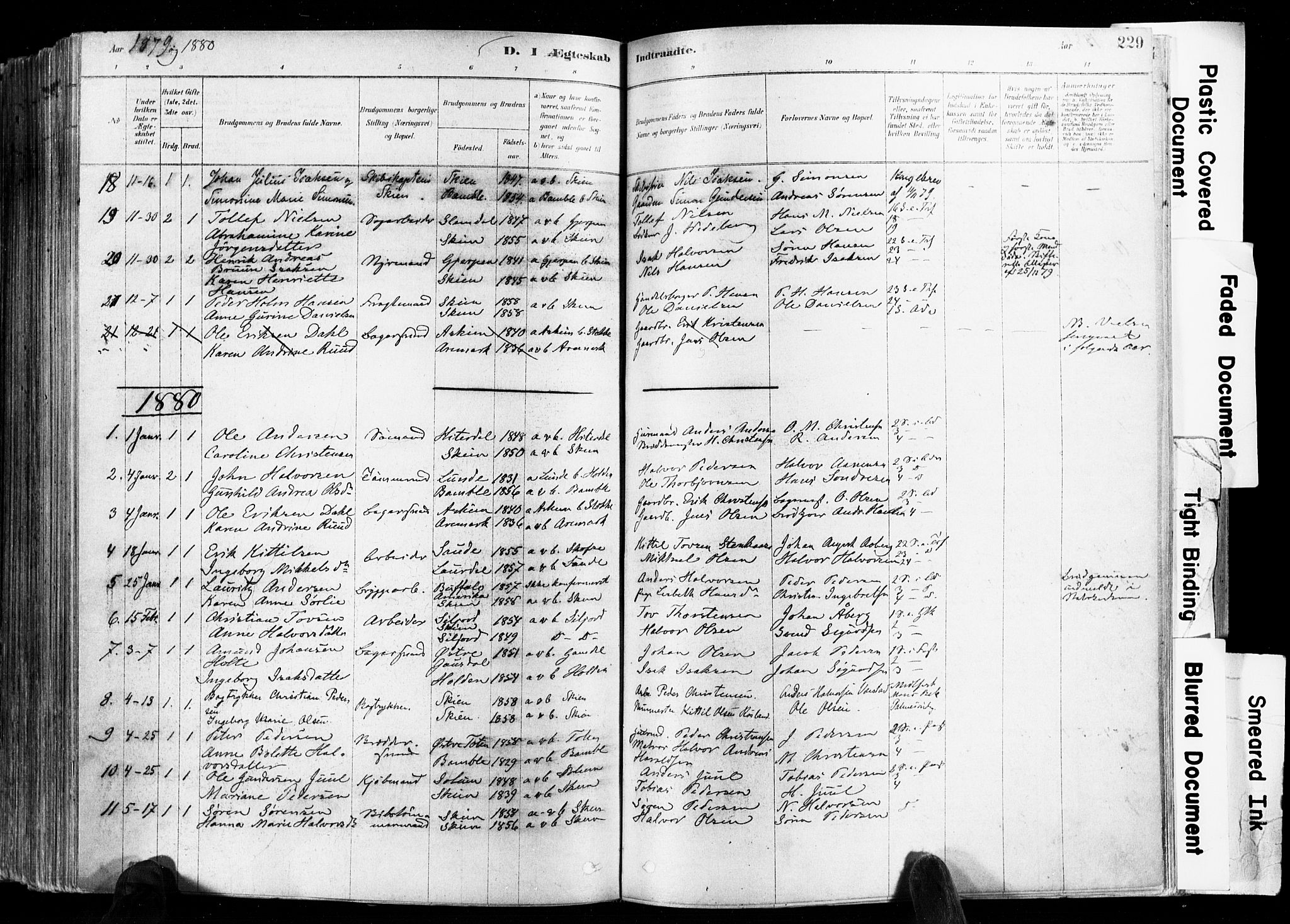 Skien kirkebøker, AV/SAKO-A-302/F/Fa/L0009: Parish register (official) no. 9, 1878-1890, p. 229