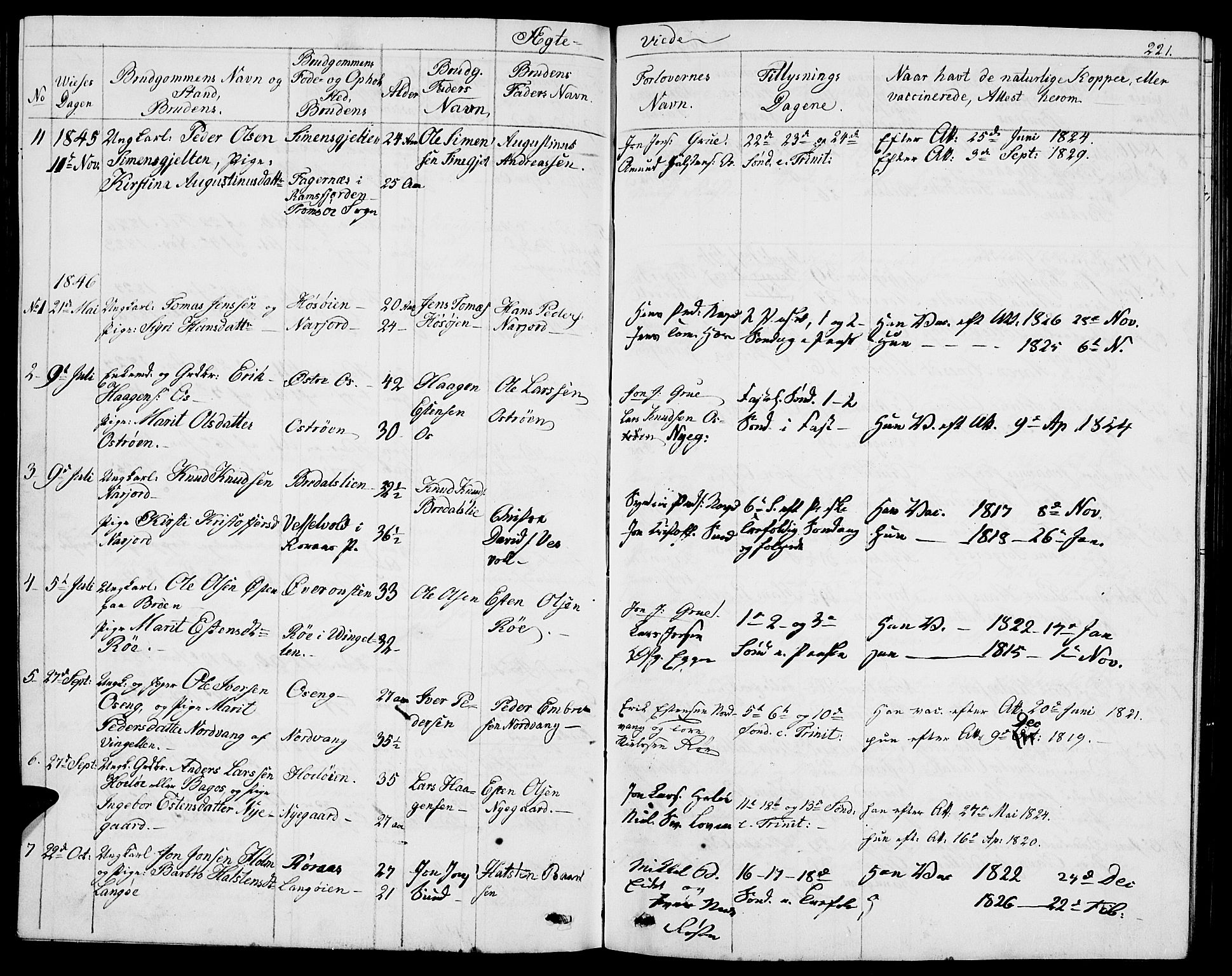 Tolga prestekontor, SAH/PREST-062/L/L0004: Parish register (copy) no. 4, 1845-1887, p. 221