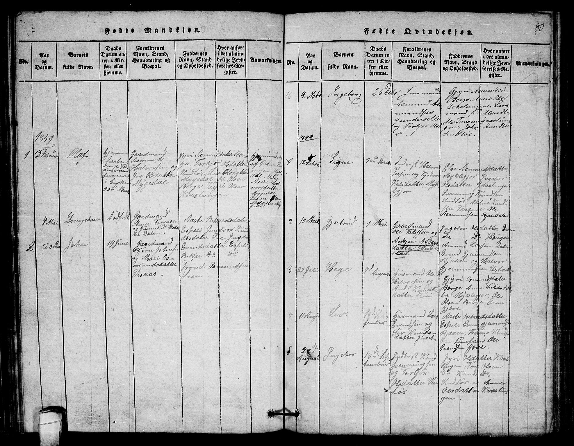 Lårdal kirkebøker, SAKO/A-284/G/Gb/L0001: Parish register (copy) no. II 1, 1815-1865, p. 80
